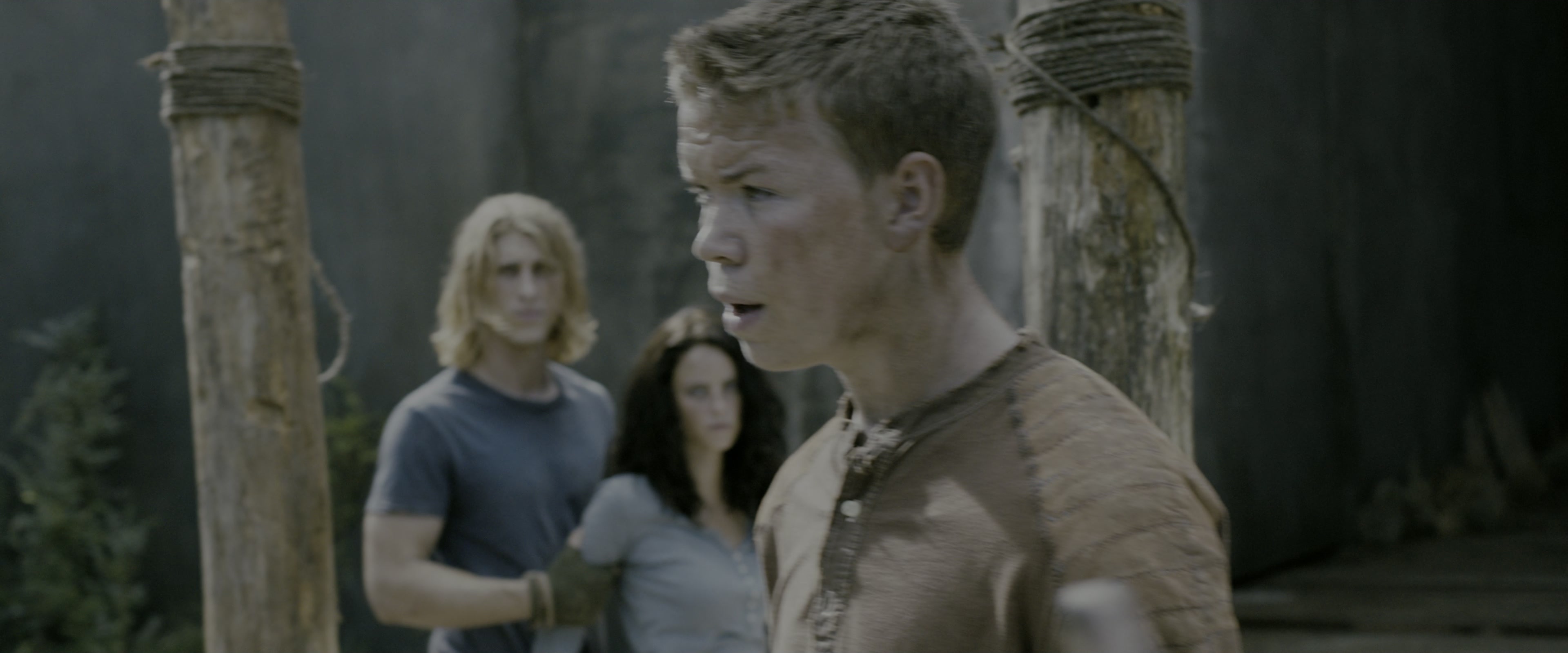 The Maze Runner (2014), wide, 2.40:1 — film still