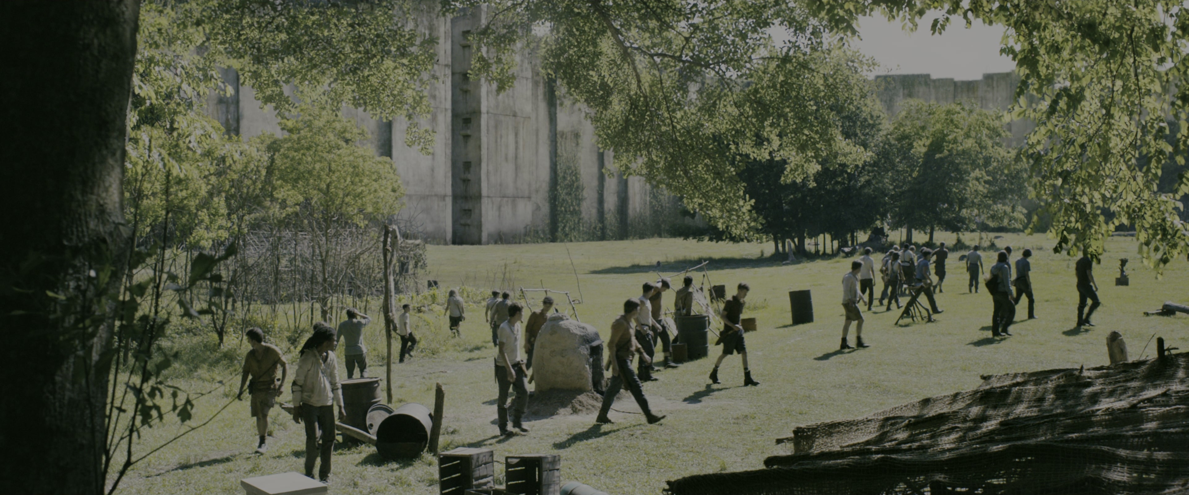 The Maze Runner (2014), medium, 2.40:1 — film still