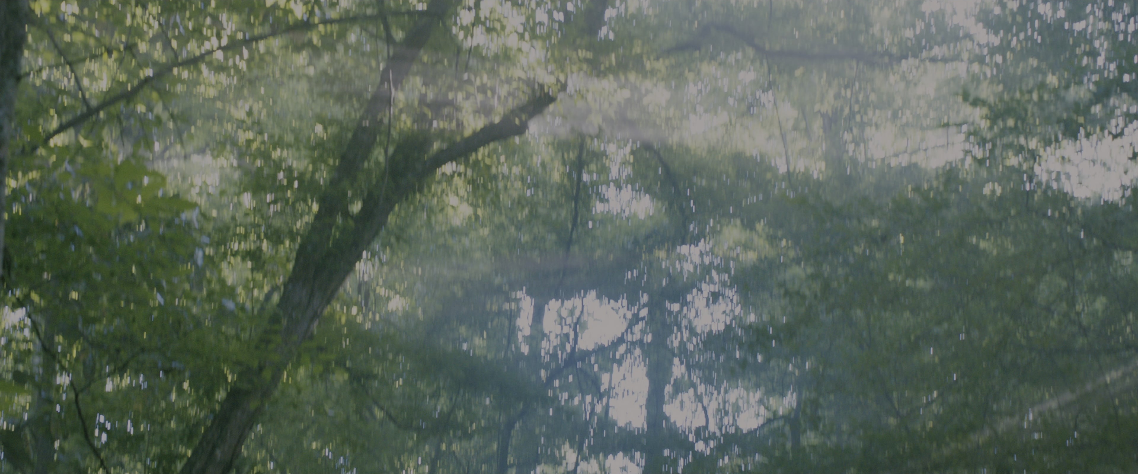 The Maze Runner (2014), wide, 2.40:1 — film still