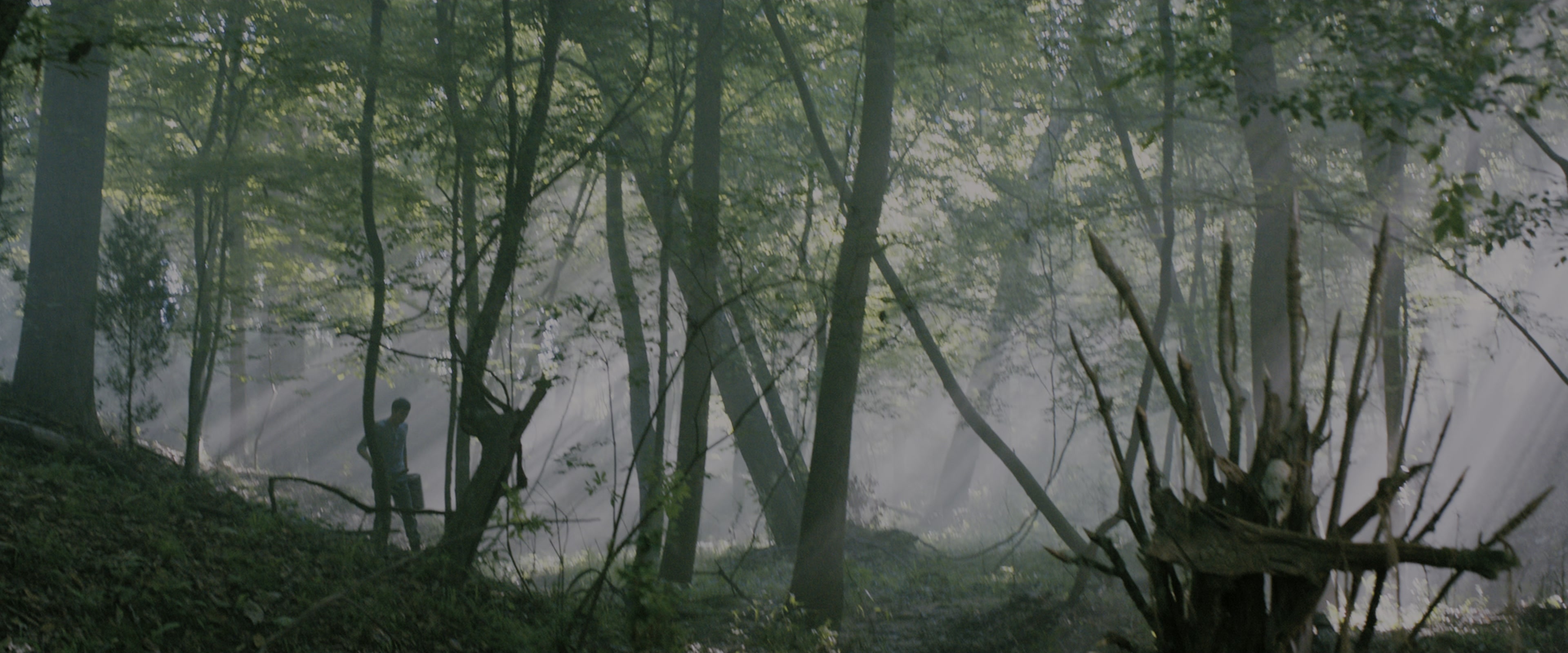 The Maze Runner (2014), wide, 2.40:1 — film still