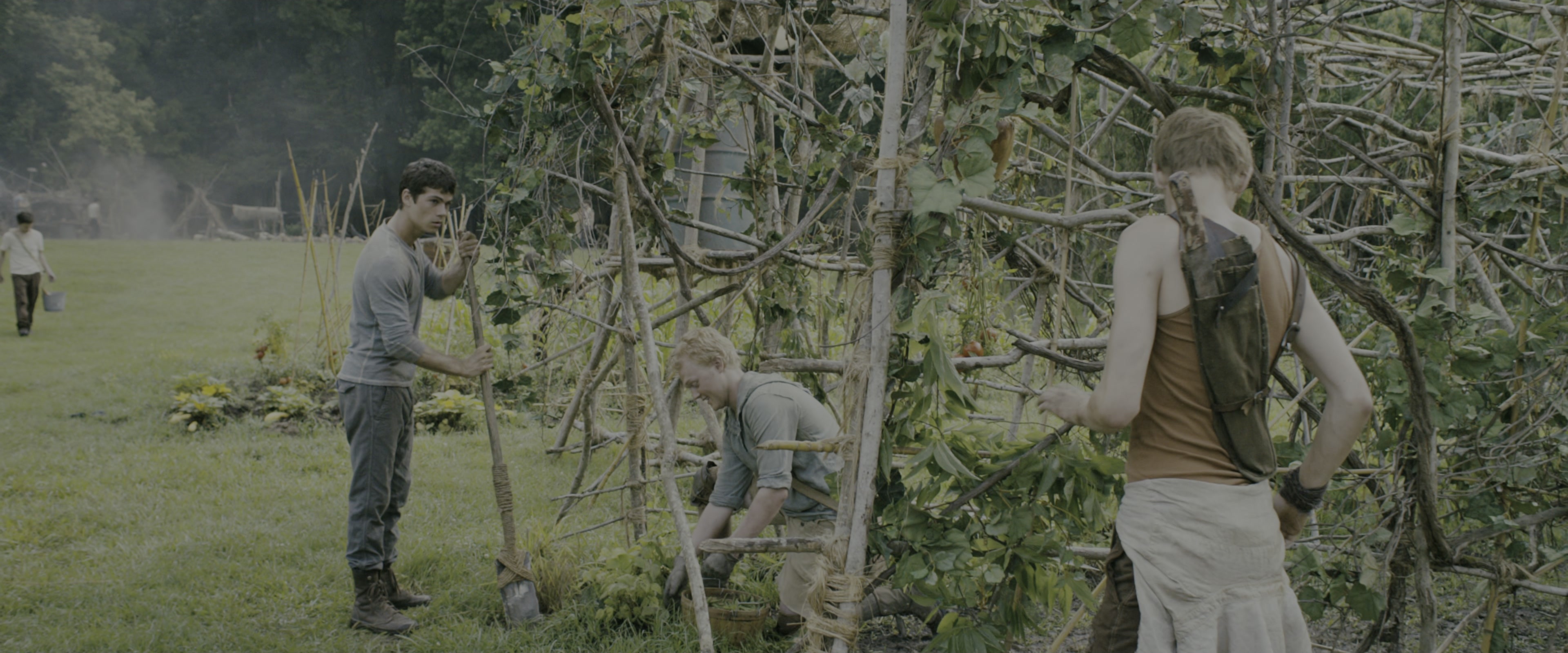 The Maze Runner (2014), wide, 2.40:1 — film still