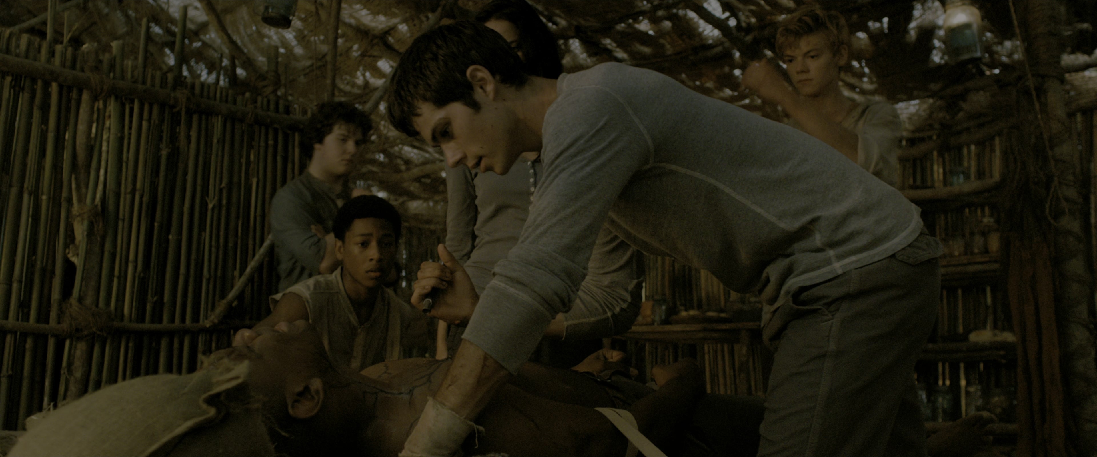 The Maze Runner (2014), wide, 2.40:1 — film still