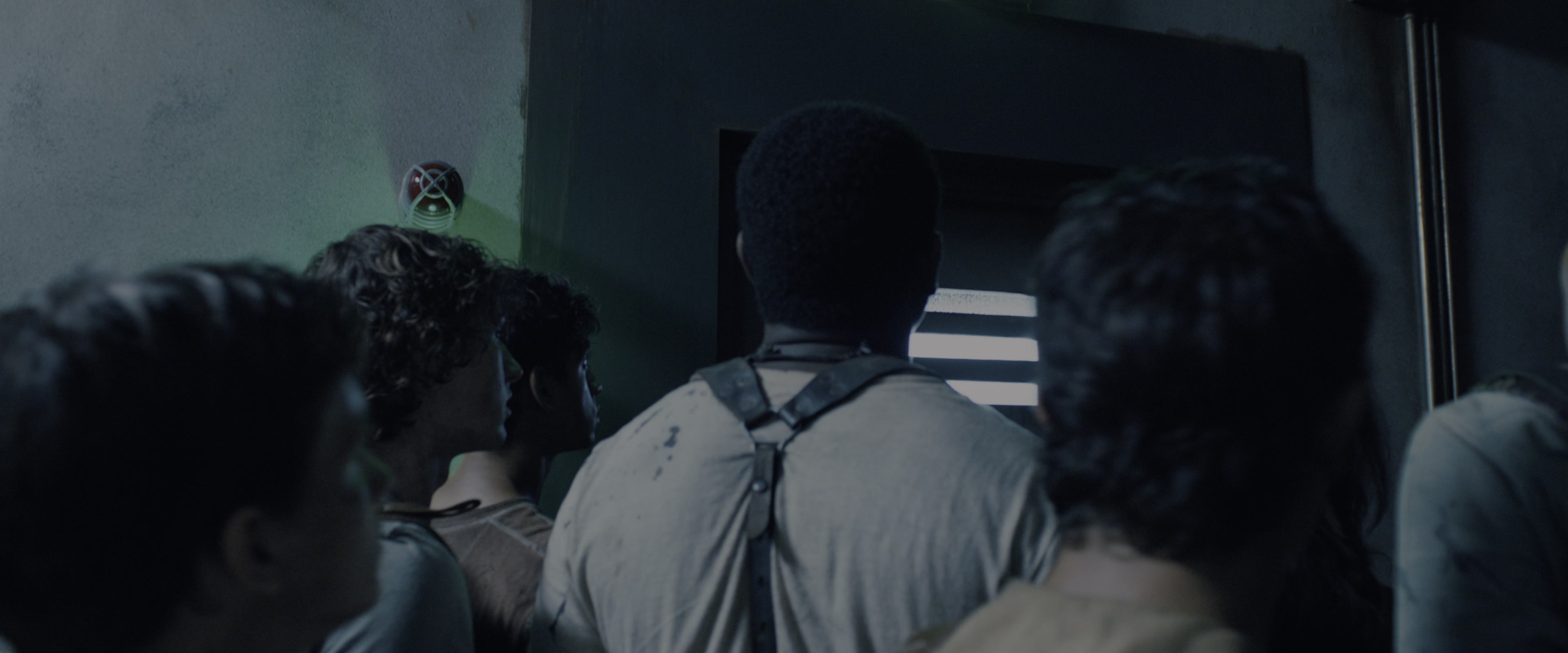 The Maze Runner (2014), wide, 2.40:1 — film still