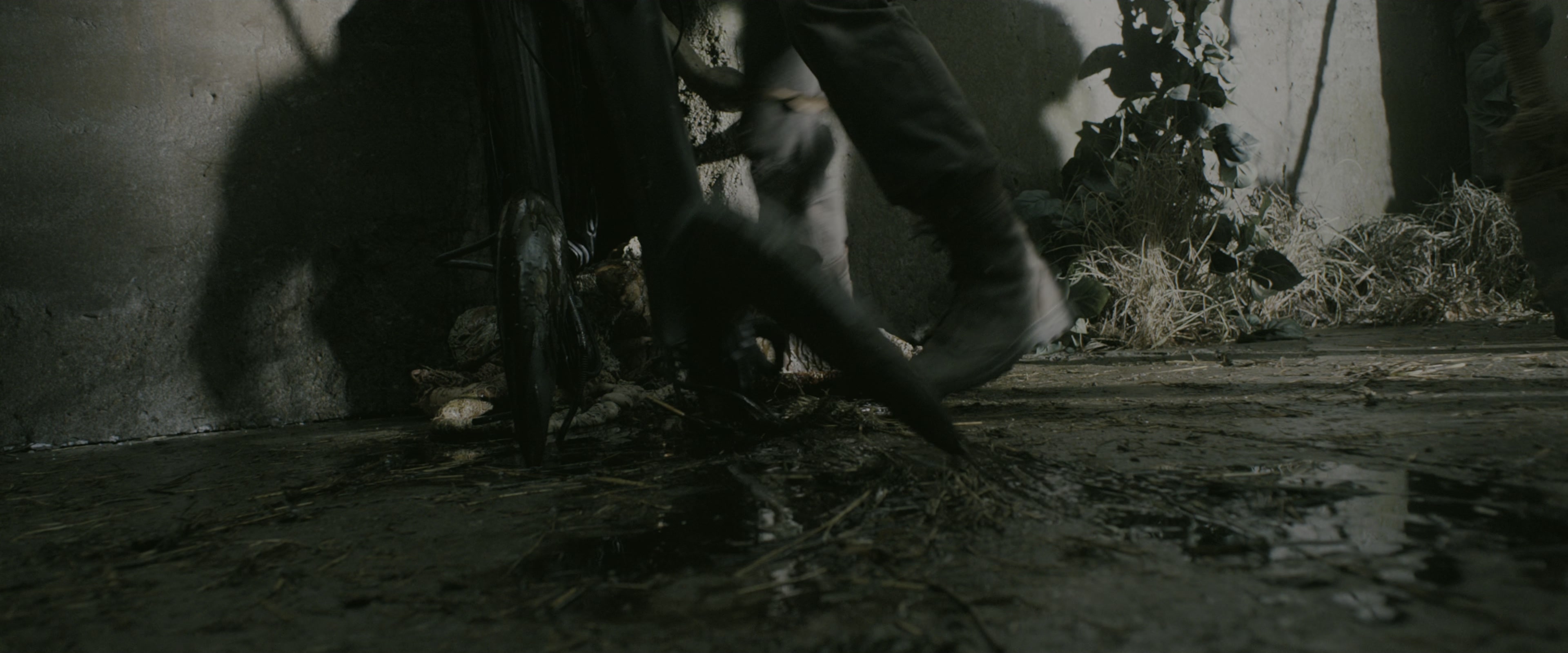 The Maze Runner (2014), wide, 2.40:1 — film still