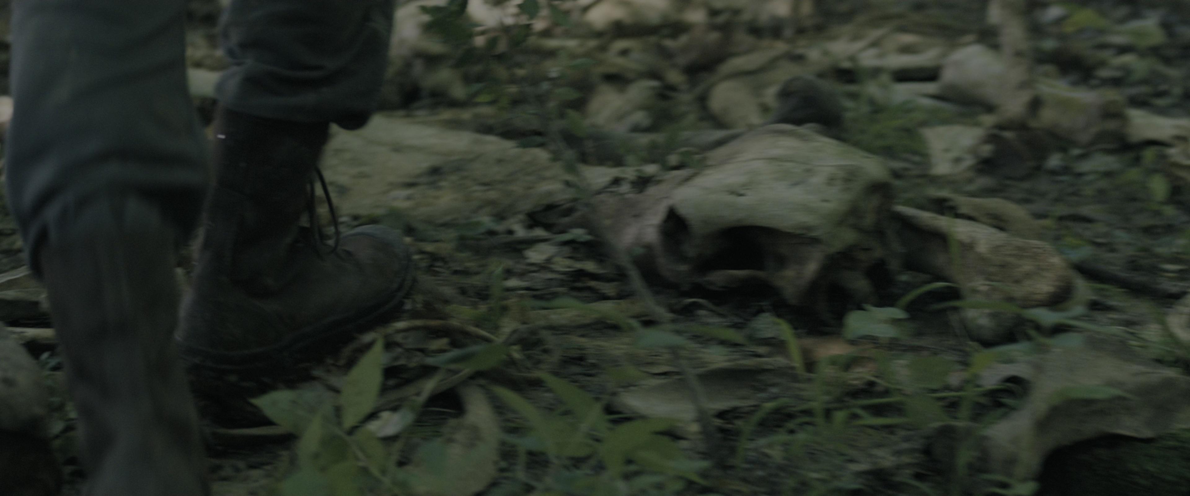 The Maze Runner (2014), unknown, 2.40:1 — film still