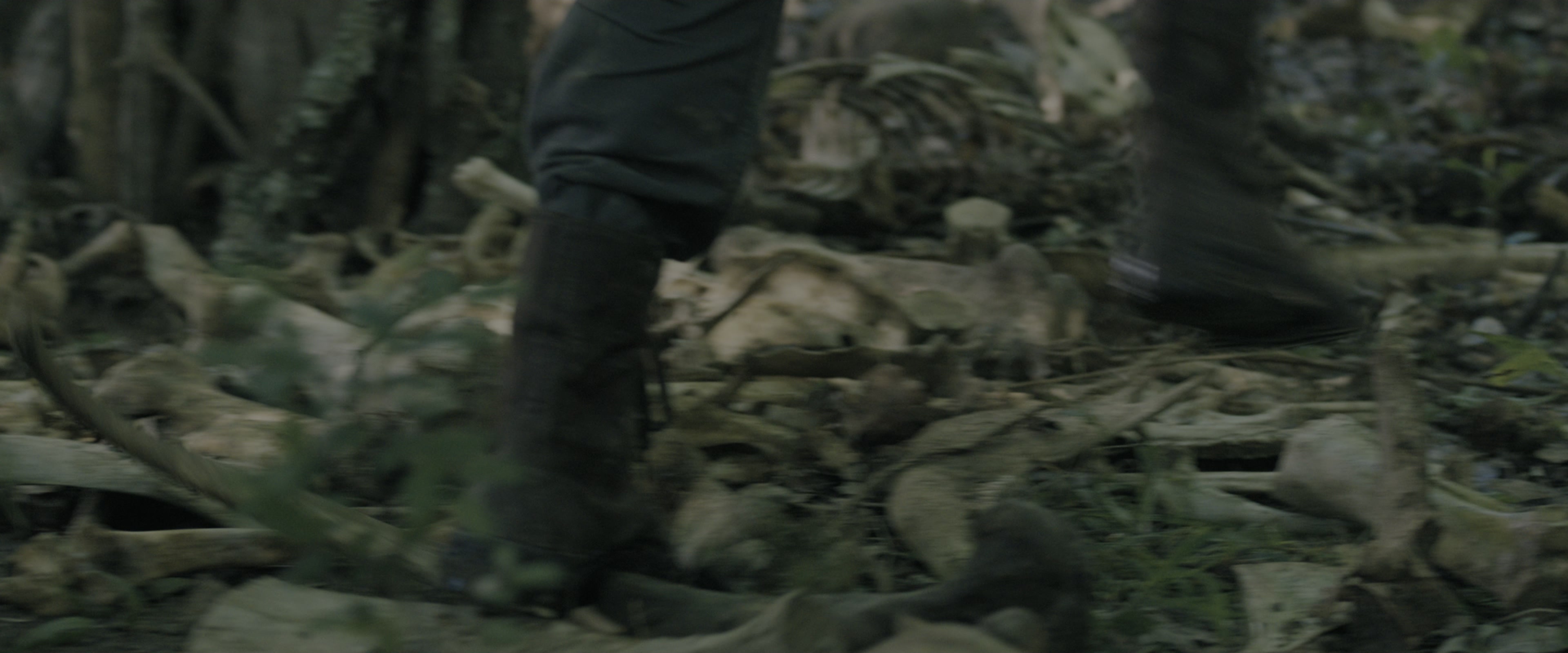 The Maze Runner (2014), wide, 2.40:1 — film still