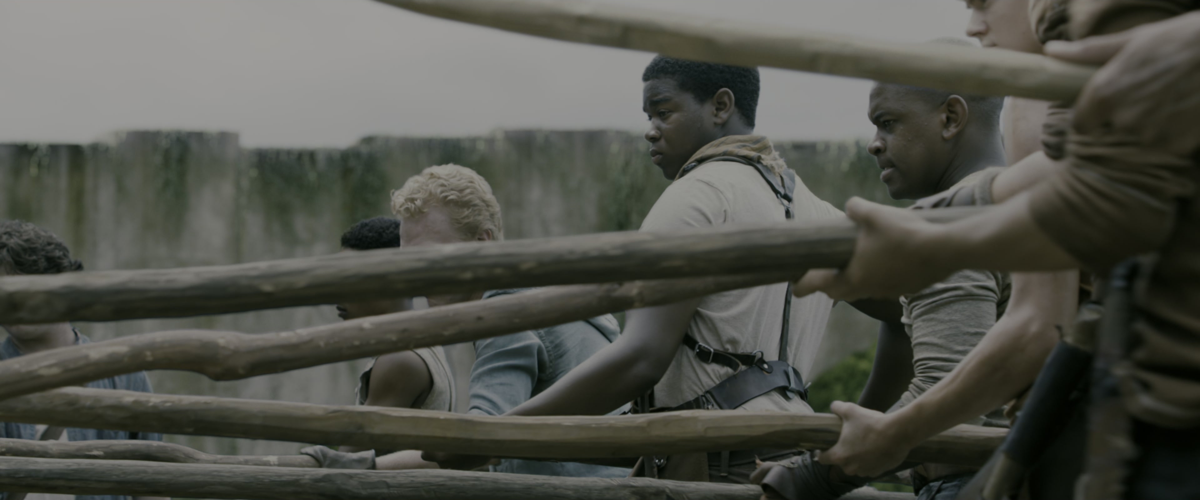 The Maze Runner (2014), wide, 2.40:1 — film still