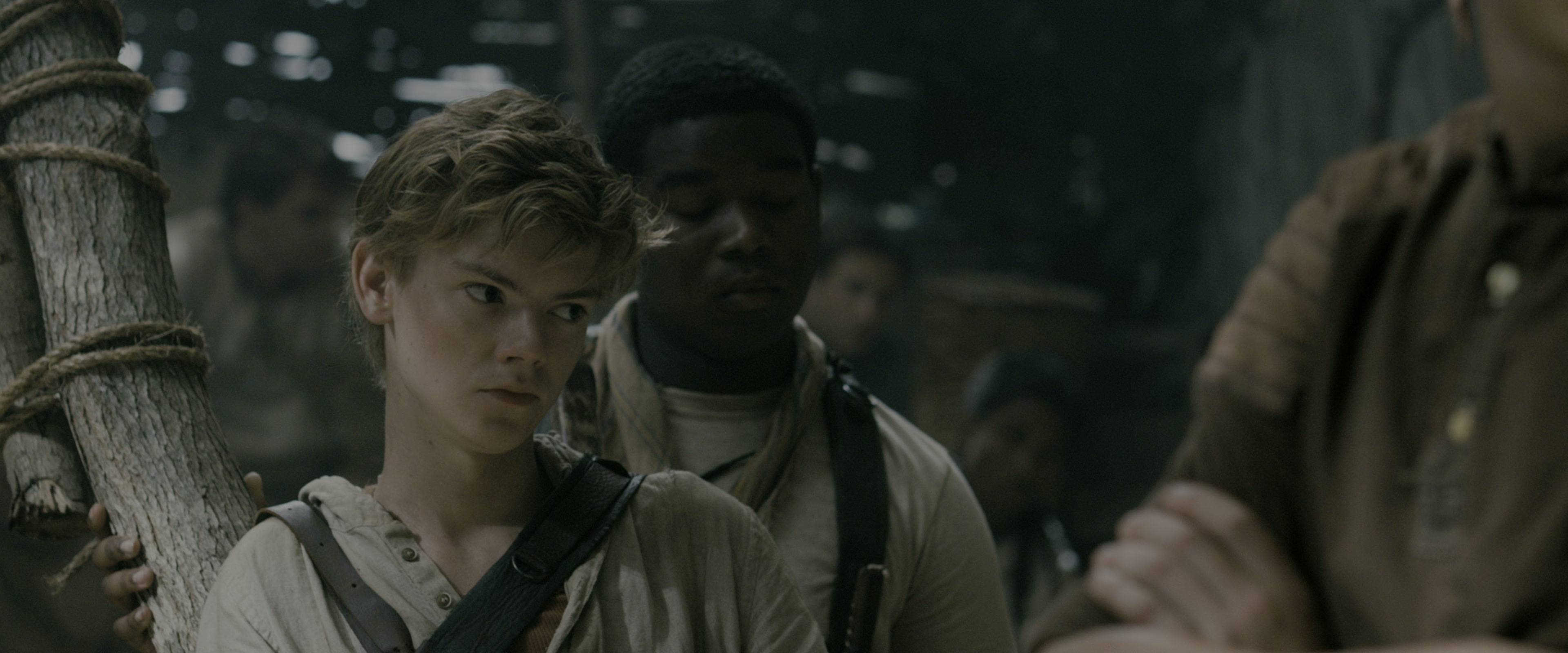 The Maze Runner (2014), medium, 2.40:1 — film still