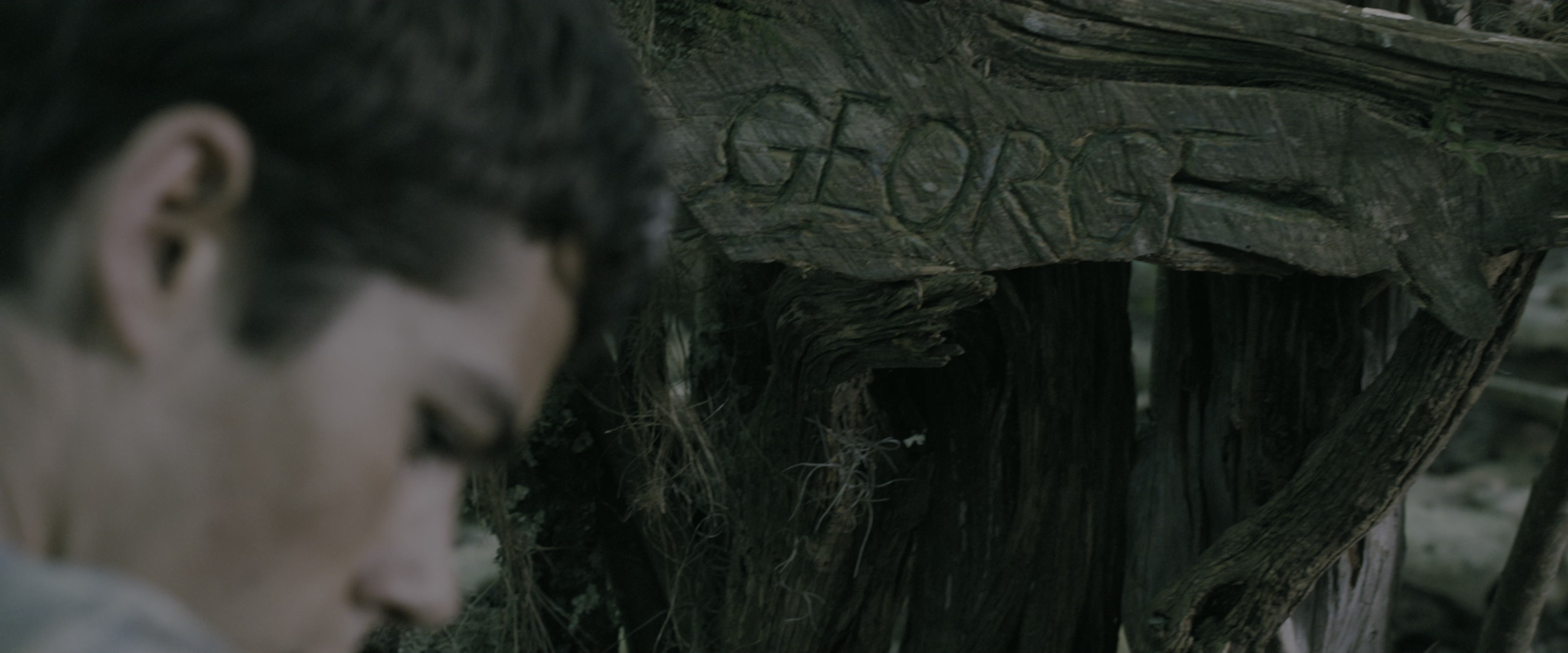The Maze Runner (2014), wide, 2.40:1 — film still