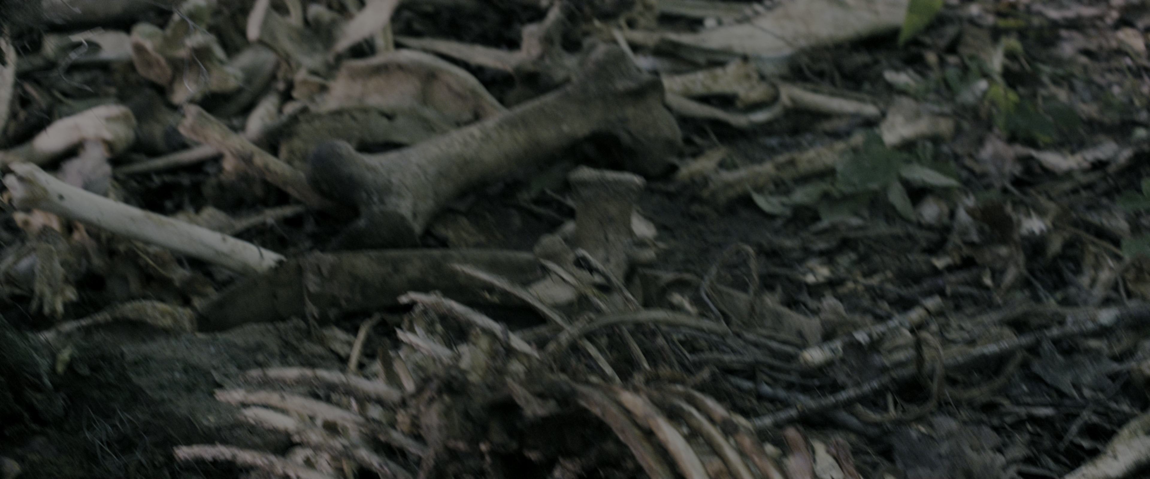 The Maze Runner (2014), wide, 2.40:1 — film still
