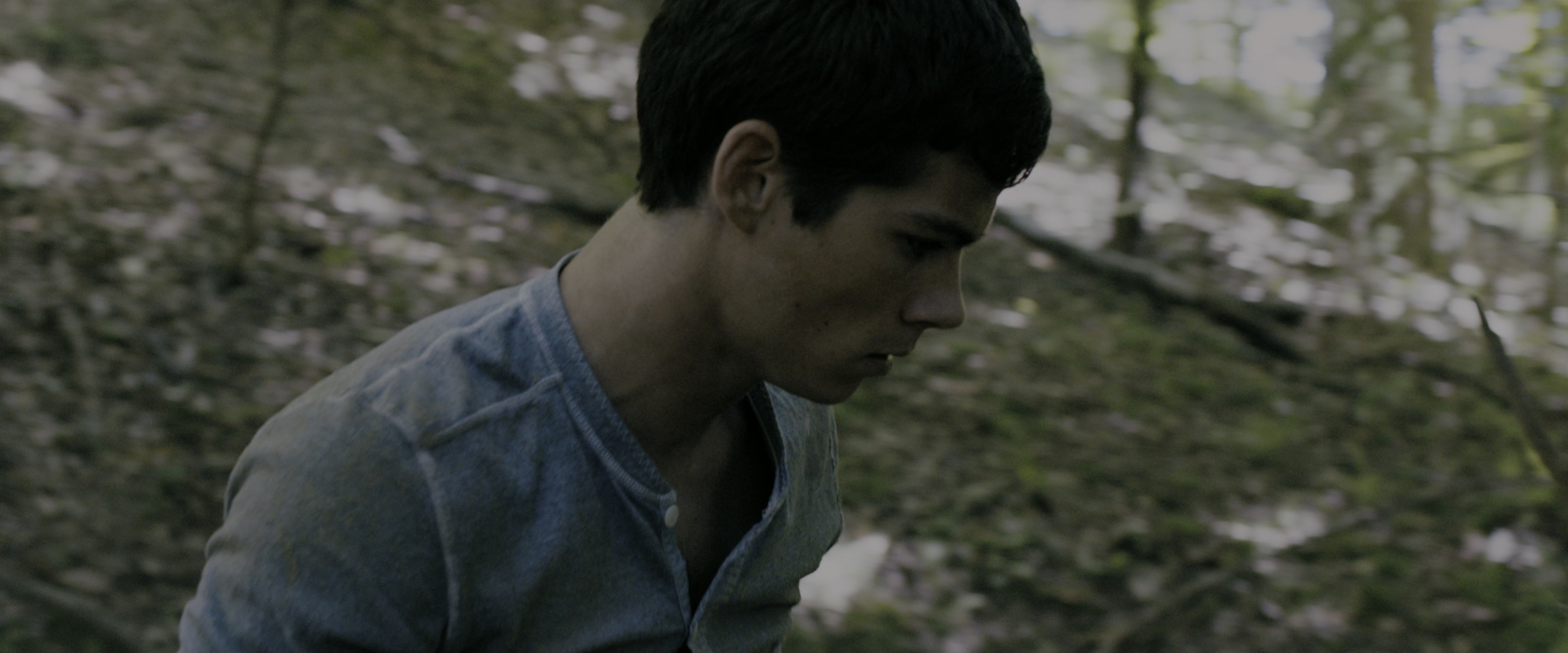 The Maze Runner (2014), wide, 2.40:1 — film still