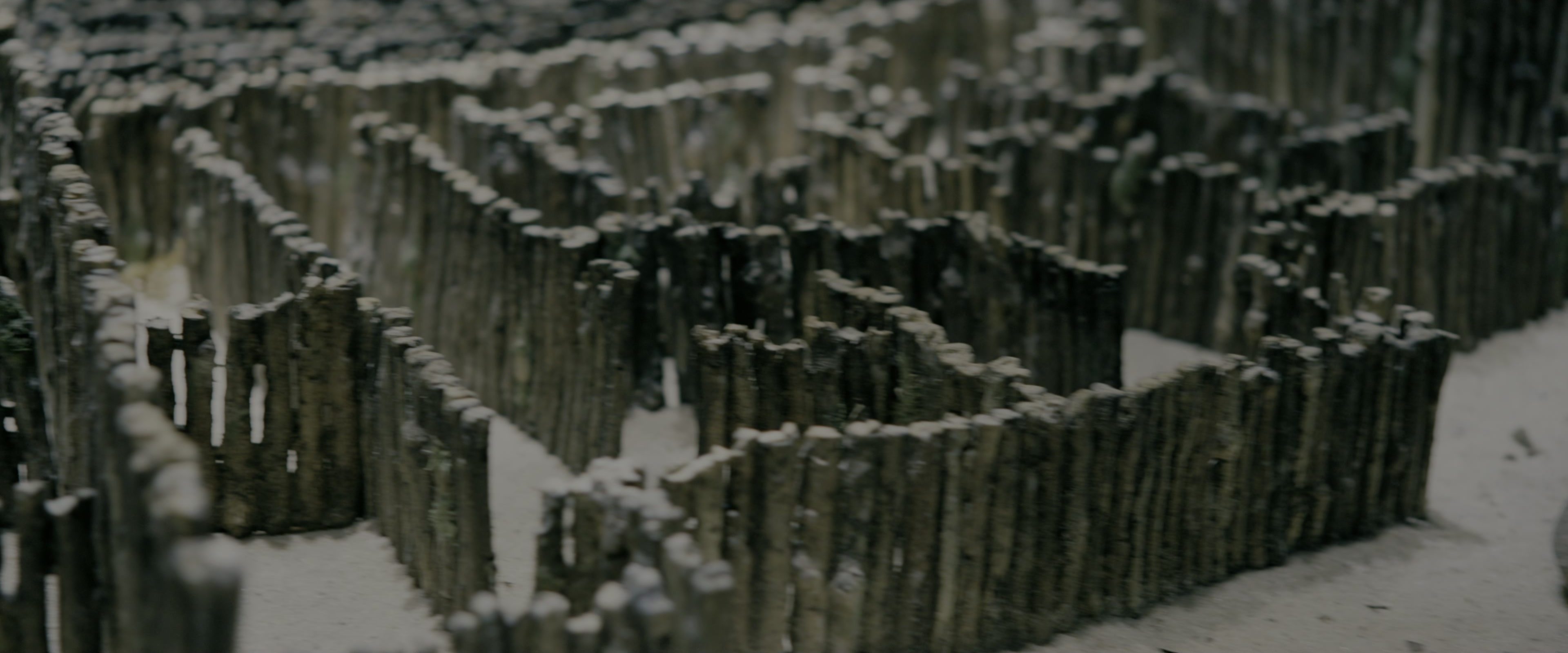 The Maze Runner (2014), wide, 2.40:1 — film still