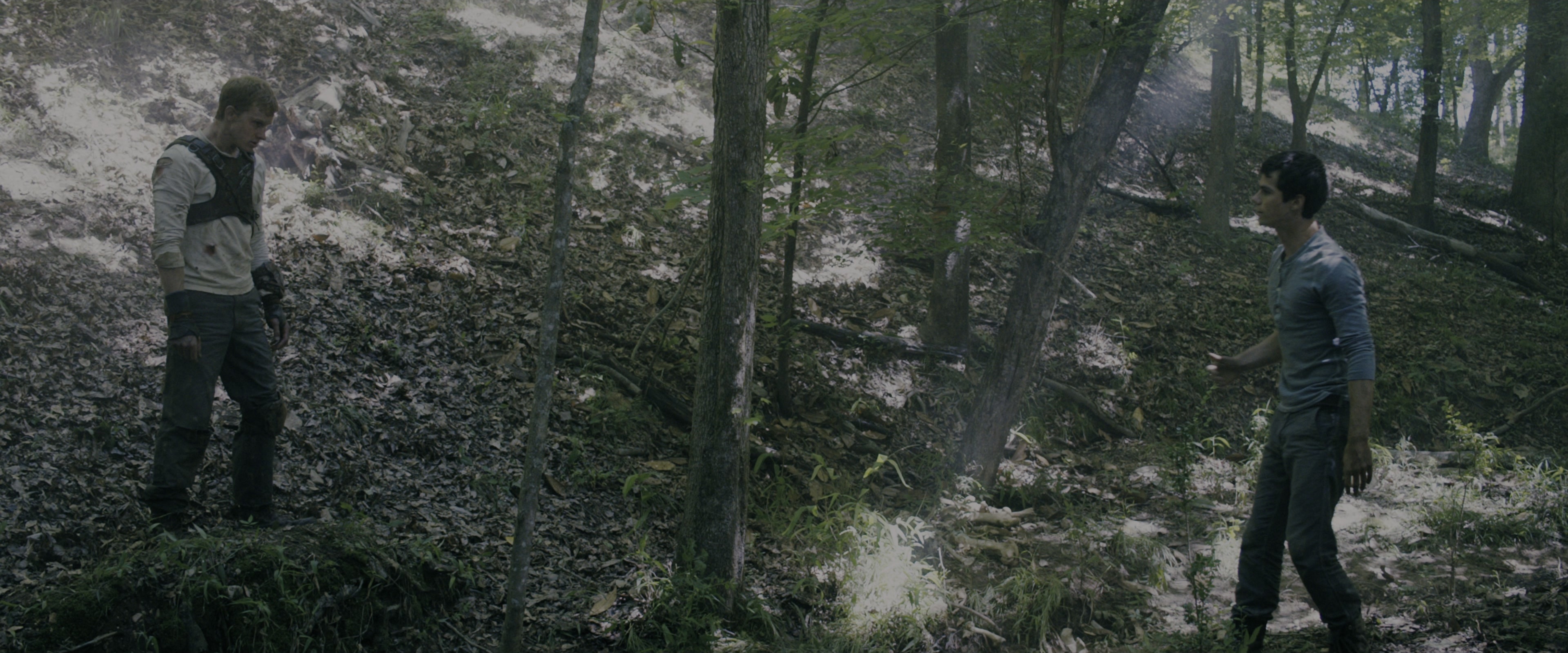 The Maze Runner (2014), wide, 2.40:1 — film still