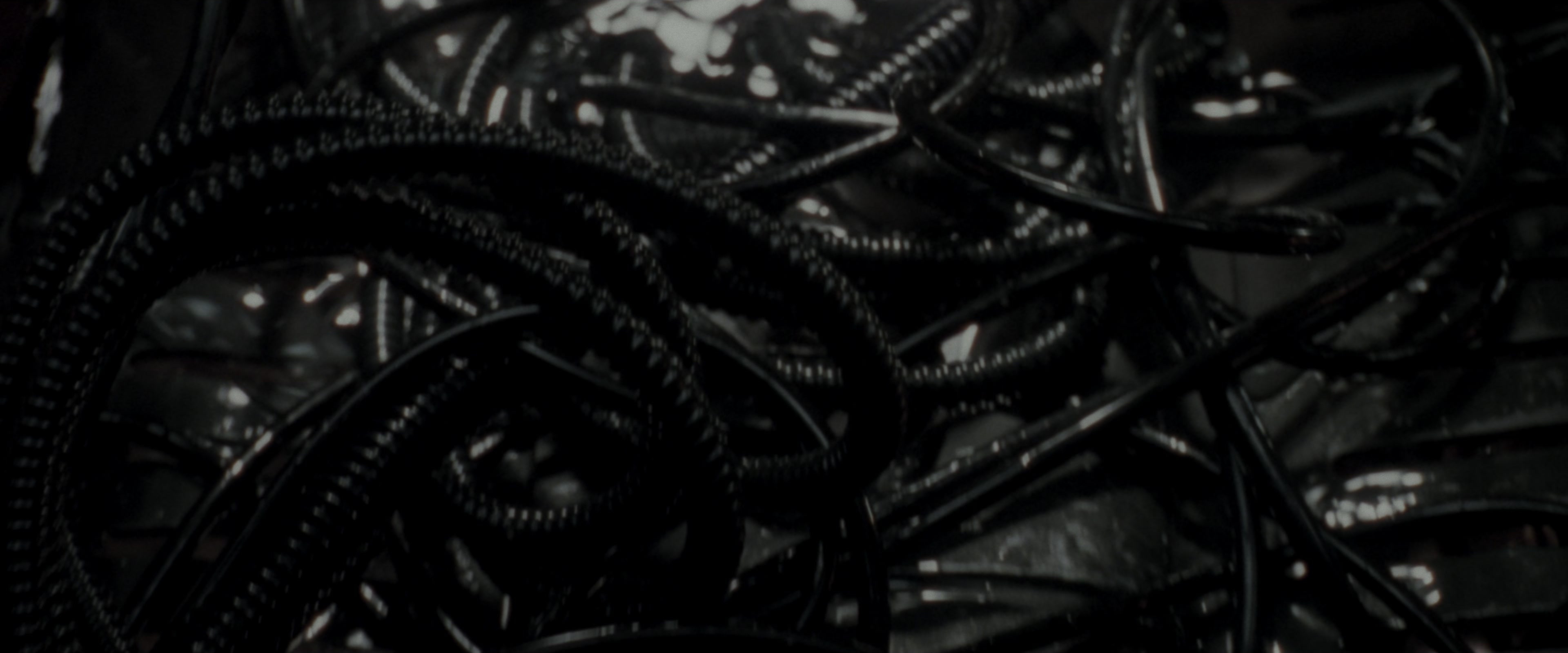 The Matrix (1999), wide, 2.40:1 — film still