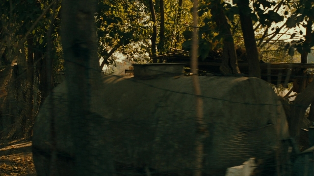Wide shot frame from Ta'm e guilass — elephant, forest