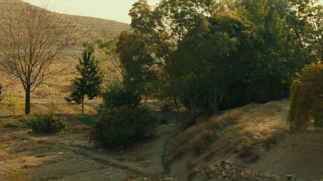 Wide shot frame from Ta'm e guilass — action, show, subject