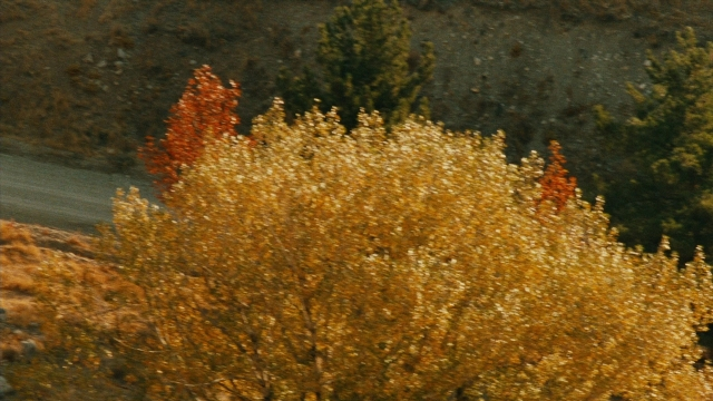 Wide shot frame from Ta'm e guilass — maple