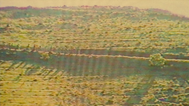 seria-82165.jpg