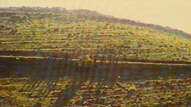 seria-93426.jpg