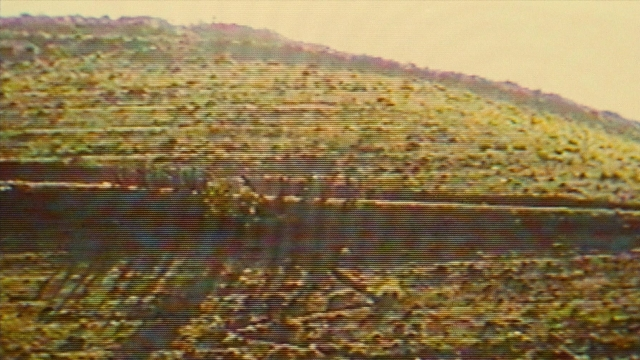 seria-94678.jpg