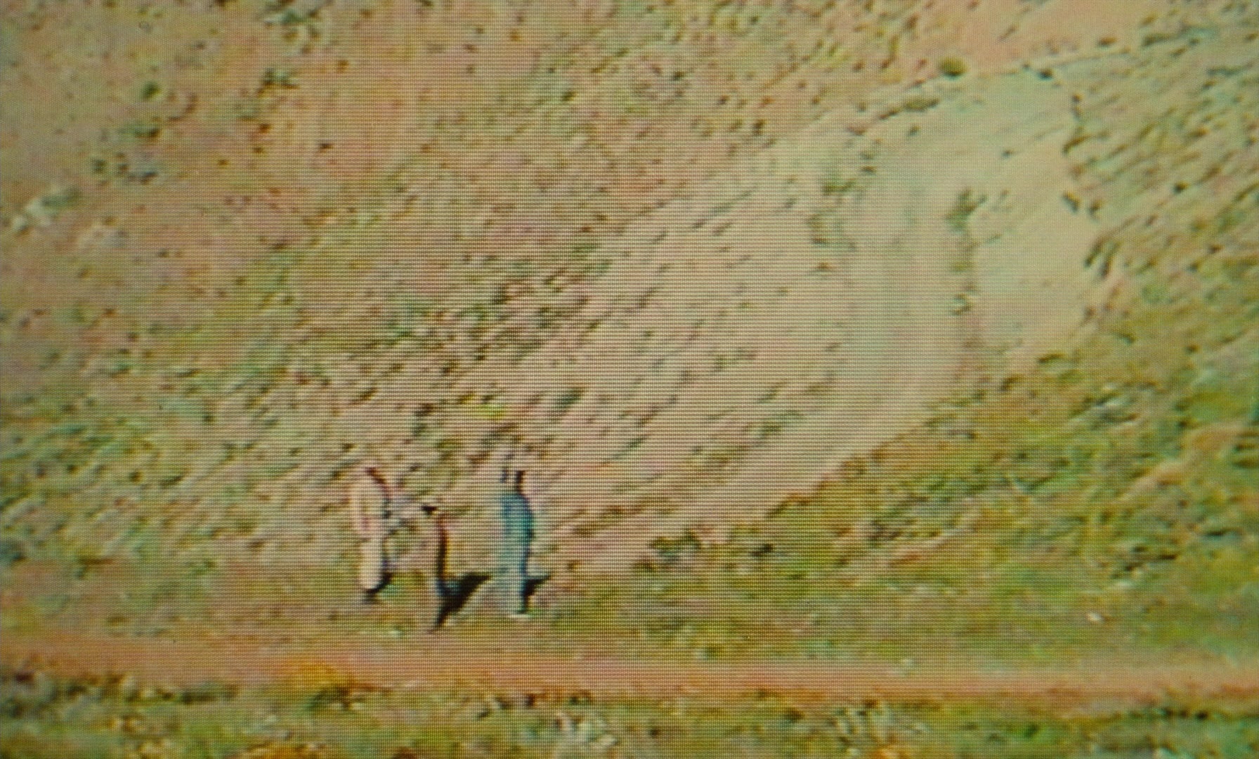 Ta'm e guilass (1997), unknown, 1.66:1 — film still