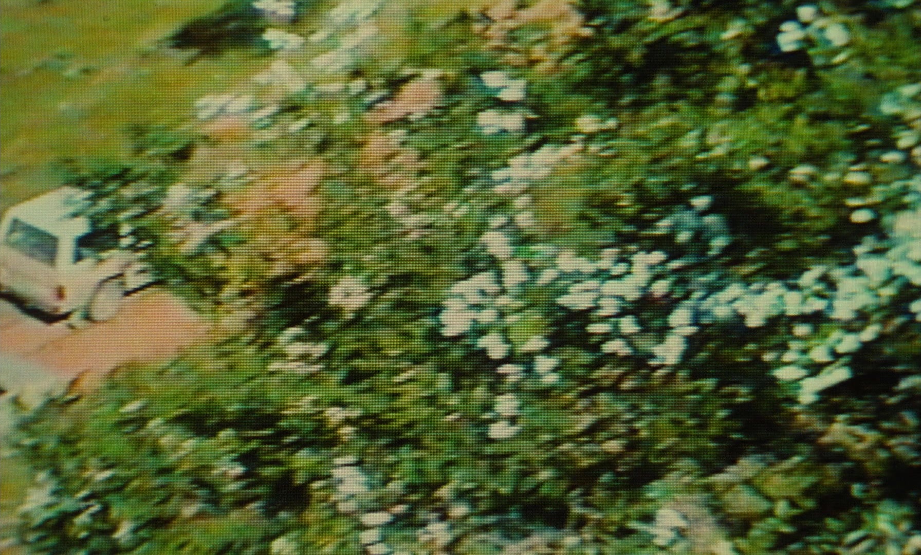 Ta'm e guilass (1997), wide, 1.66:1 — film still