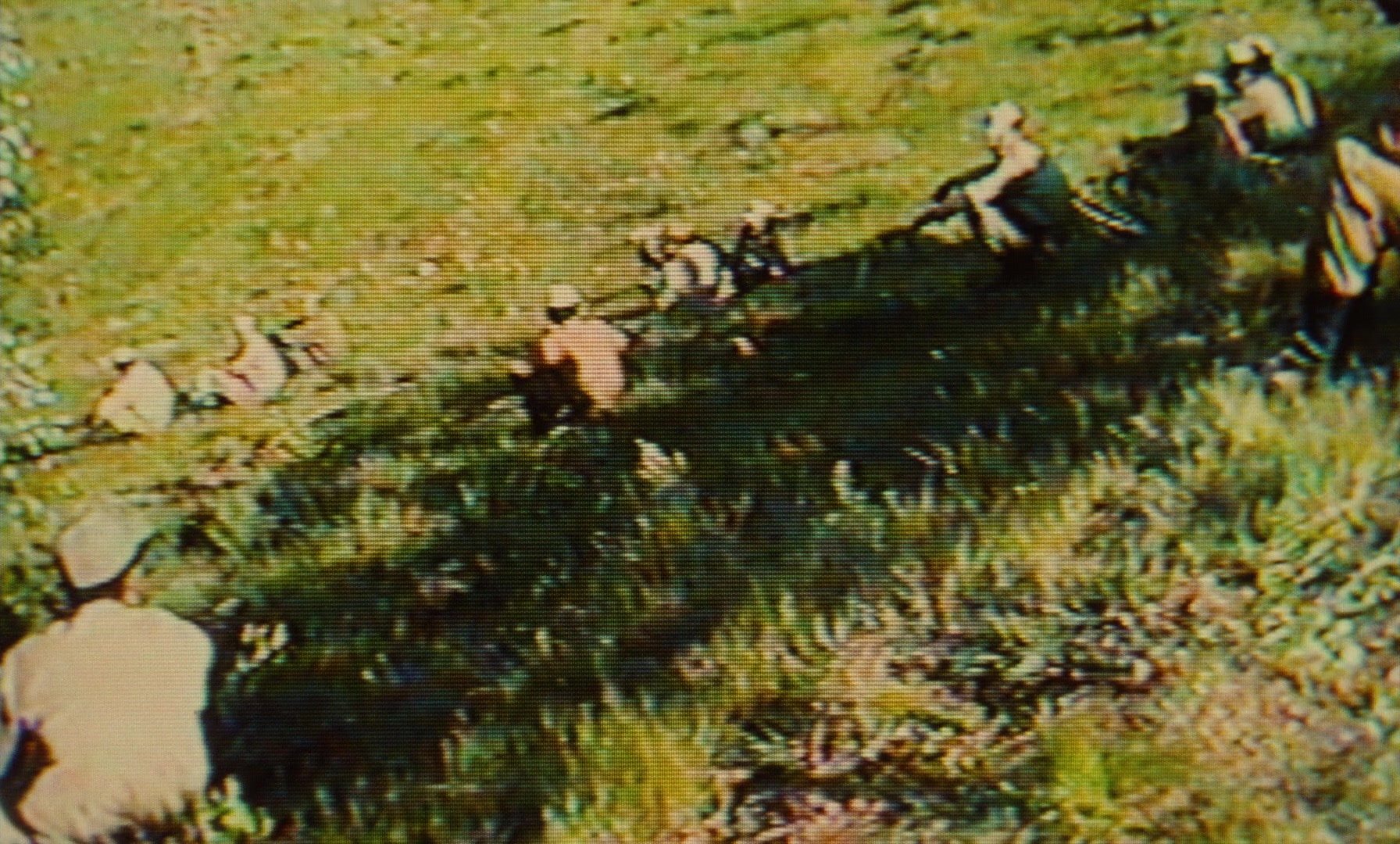 Ta'm e guilass (1997), wide, 1.66:1 — film still