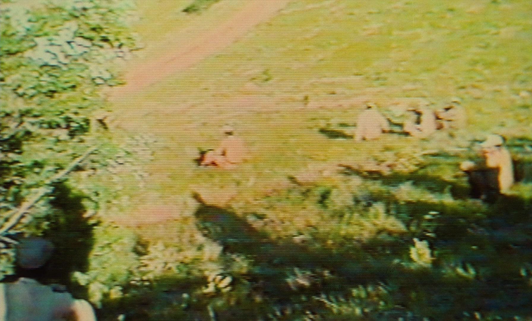 Ta'm e guilass (1997), unknown, 1.66:1 — film still