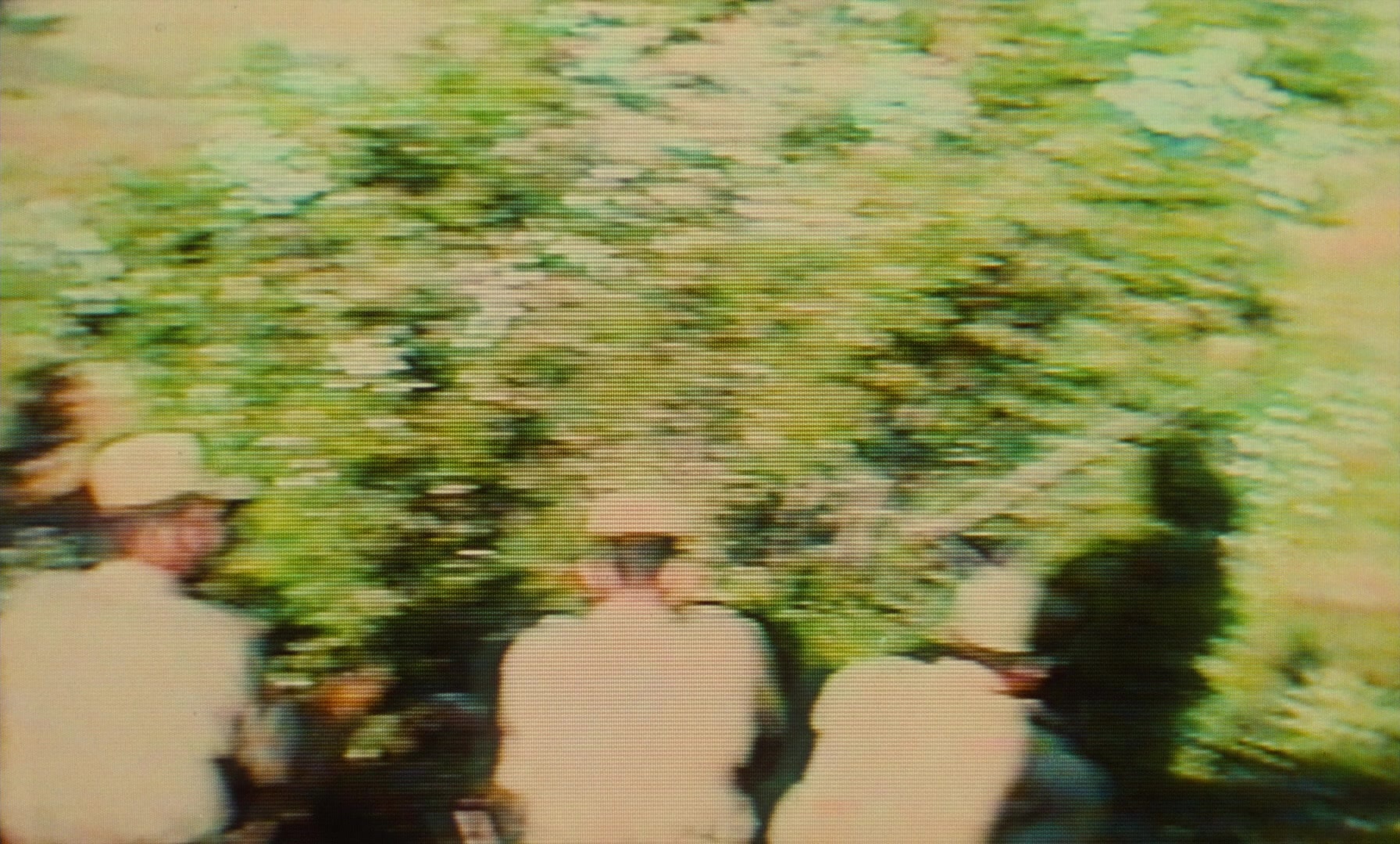 Ta'm e guilass (1997), unknown, 1.66:1 — film still