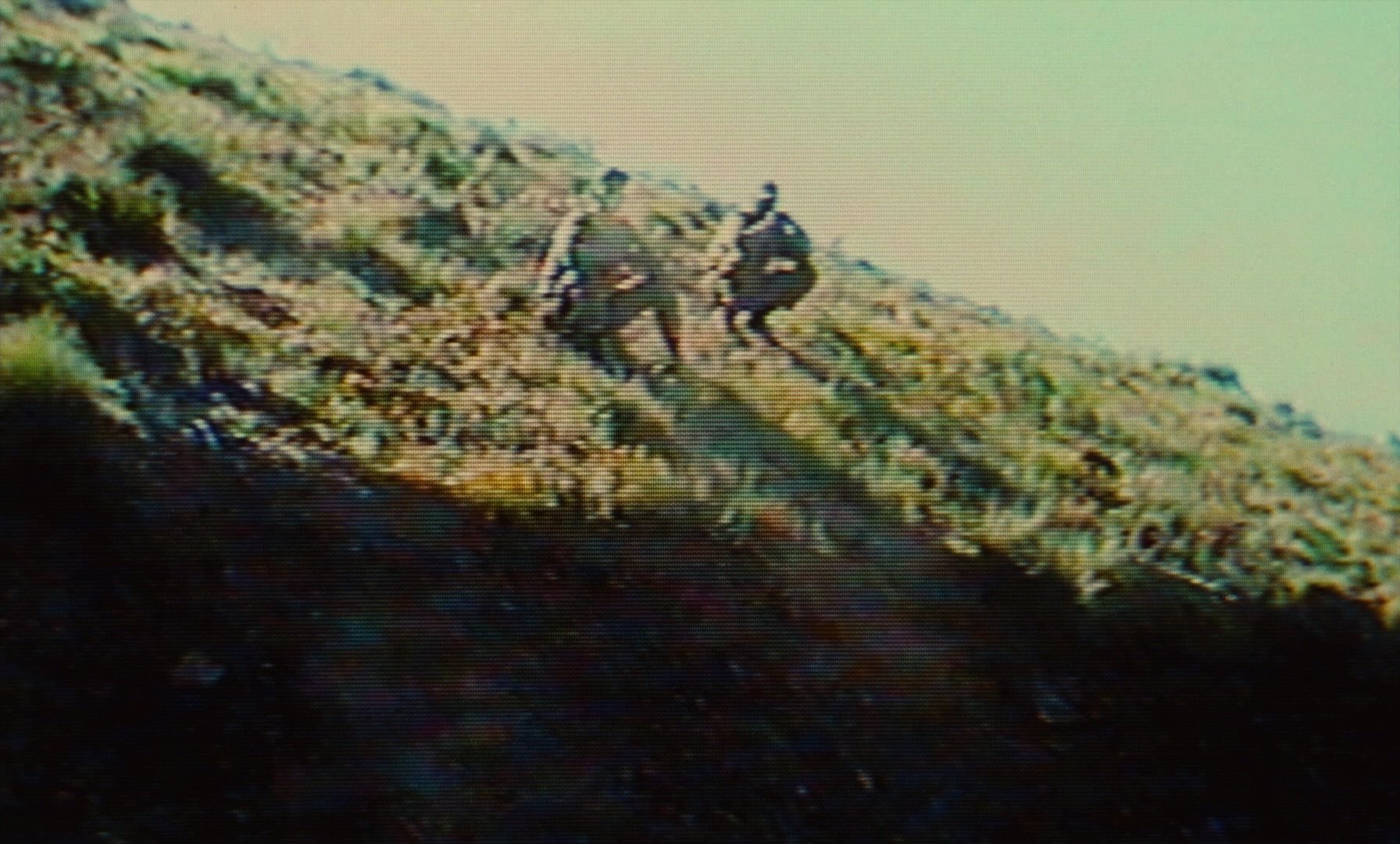 Ta'm e guilass (1997), unknown, 1.66:1 — film still