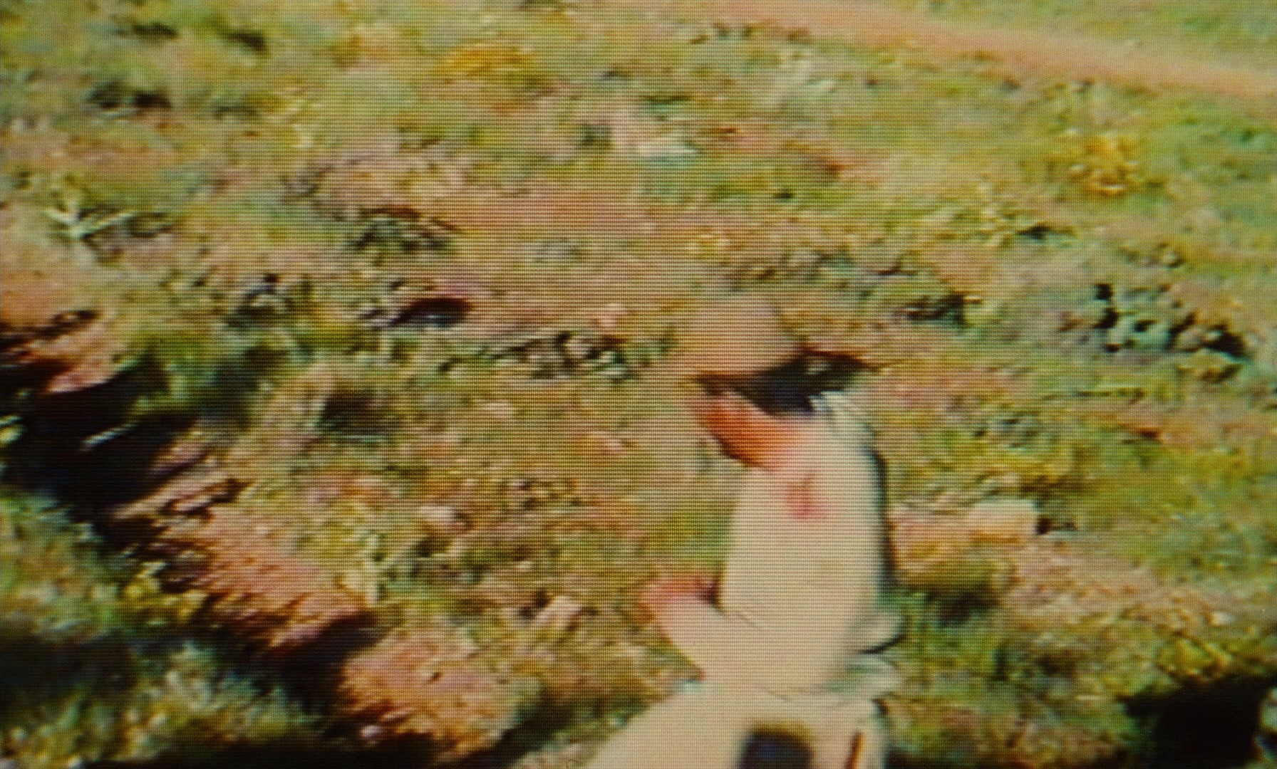 Ta'm e guilass (1997), unknown, 1.66:1 — film still