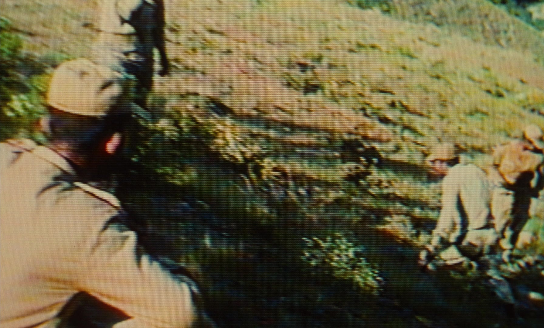 Ta'm e guilass (1997), wide, 1.66:1 — film still
