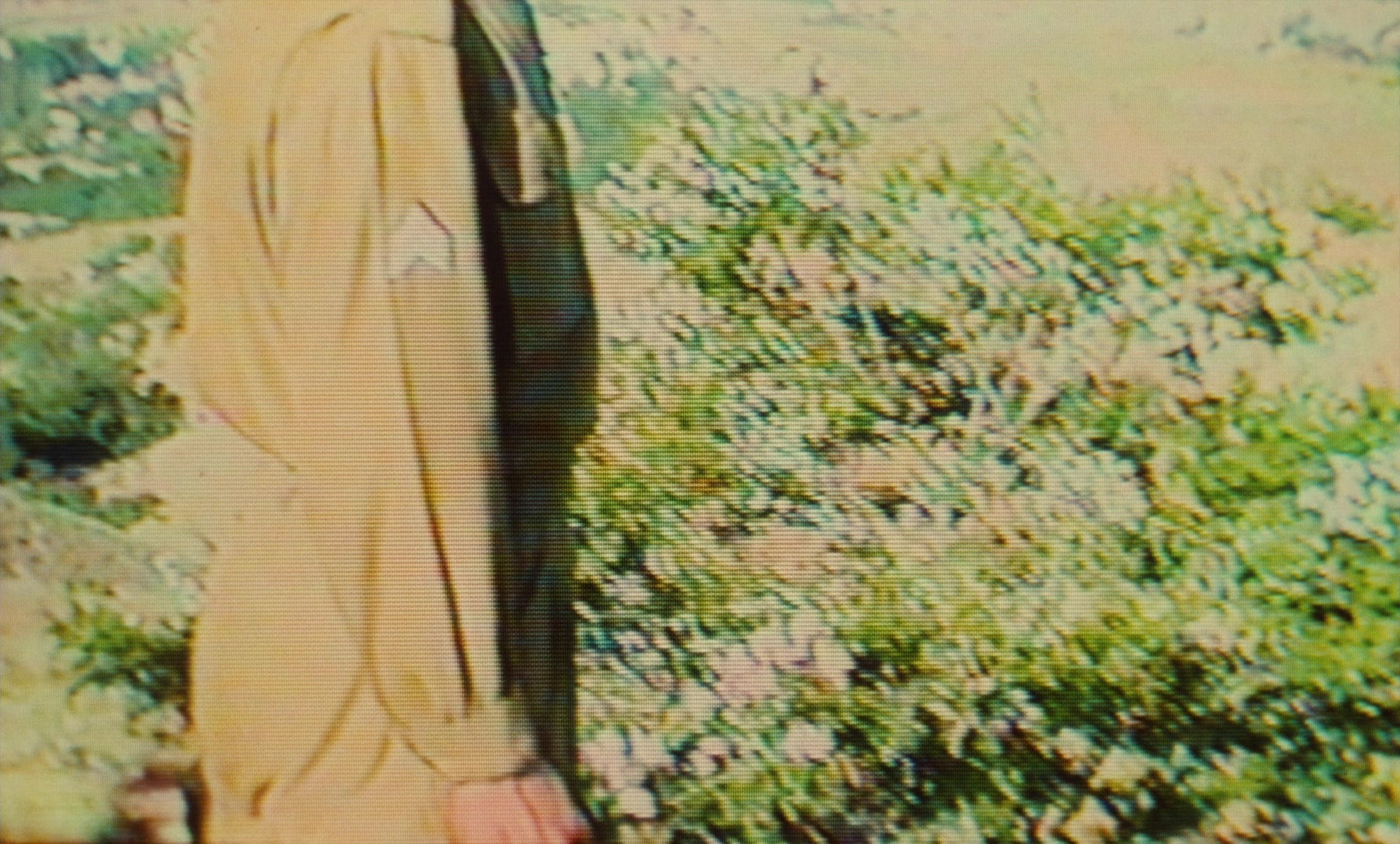 Ta'm e guilass (1997), wide, 1.66:1 — film still