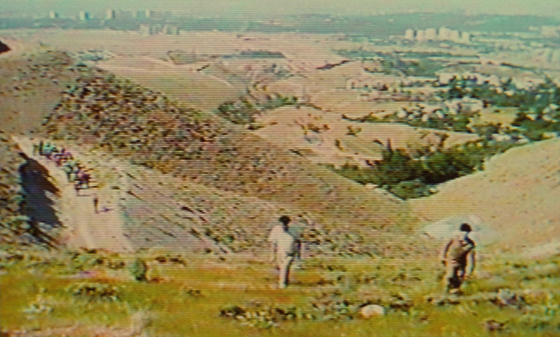 Ta'm e guilass (1997), wide, 1.66:1 — film still