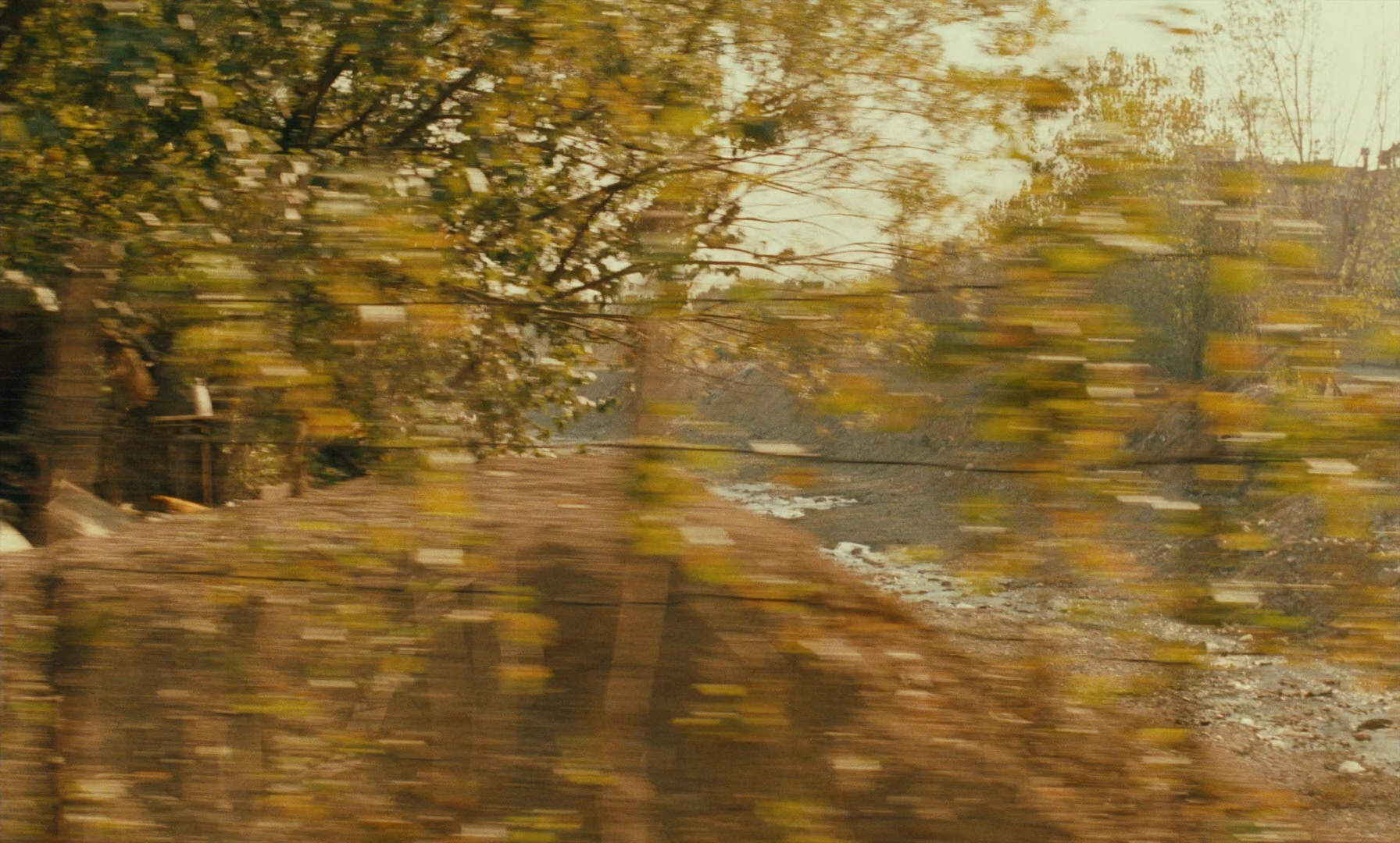 Ta'm e guilass (1997), unknown, 1.66:1 — film still