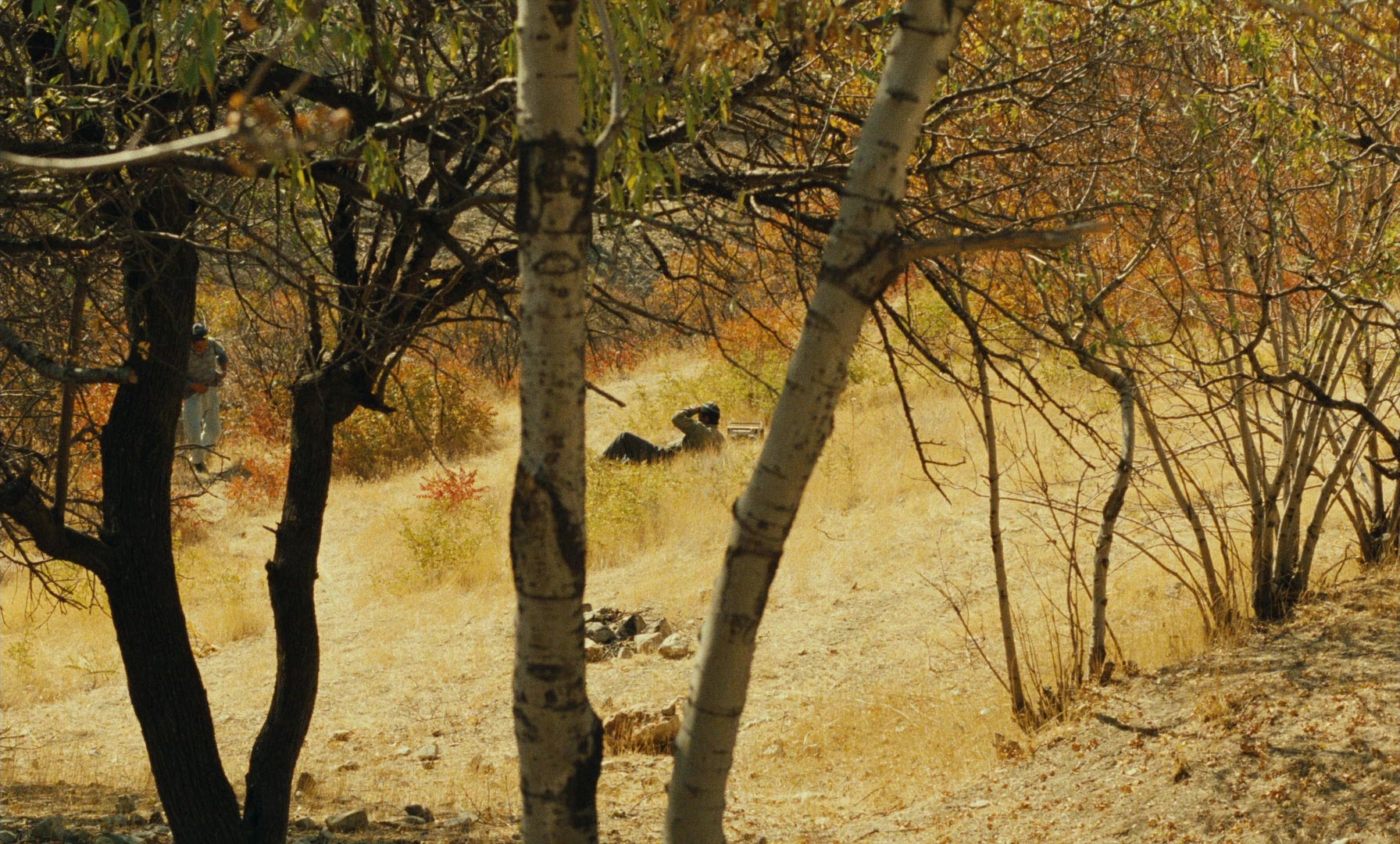 Ta'm e guilass (1997), wide, 1.66:1 — film still