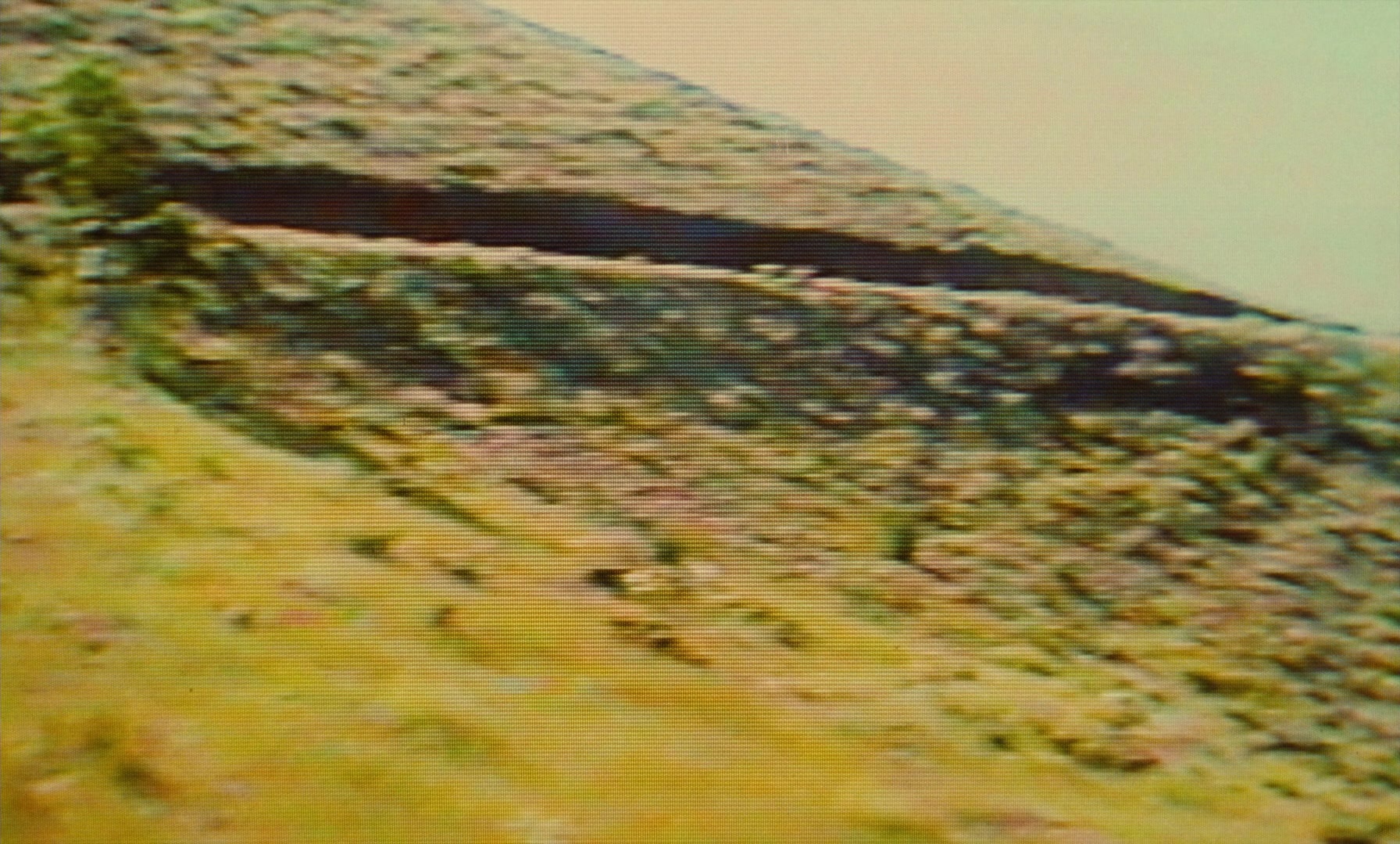 Ta'm e guilass (1997), unknown, 1.66:1 — film still
