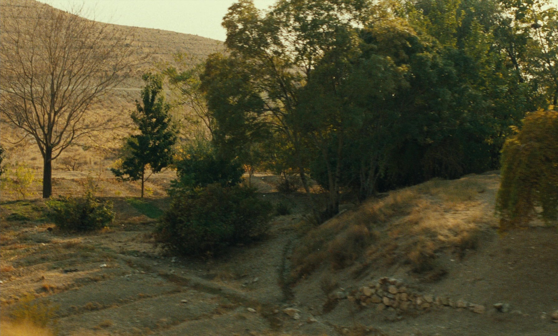 Ta'm e guilass (1997), wide, 1.66:1 — film still