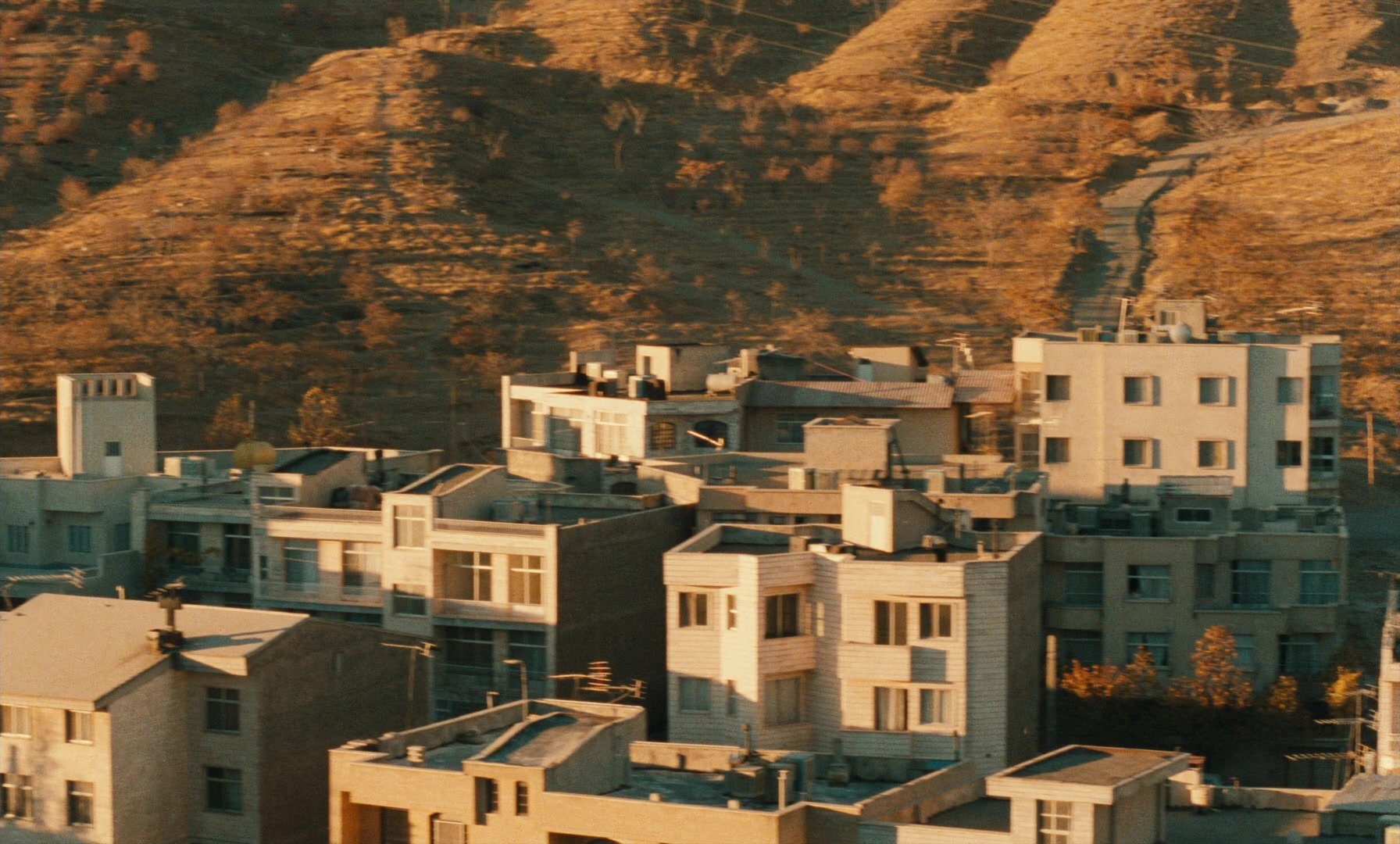 Ta'm e guilass (1997), wide, 1.66:1 — film still