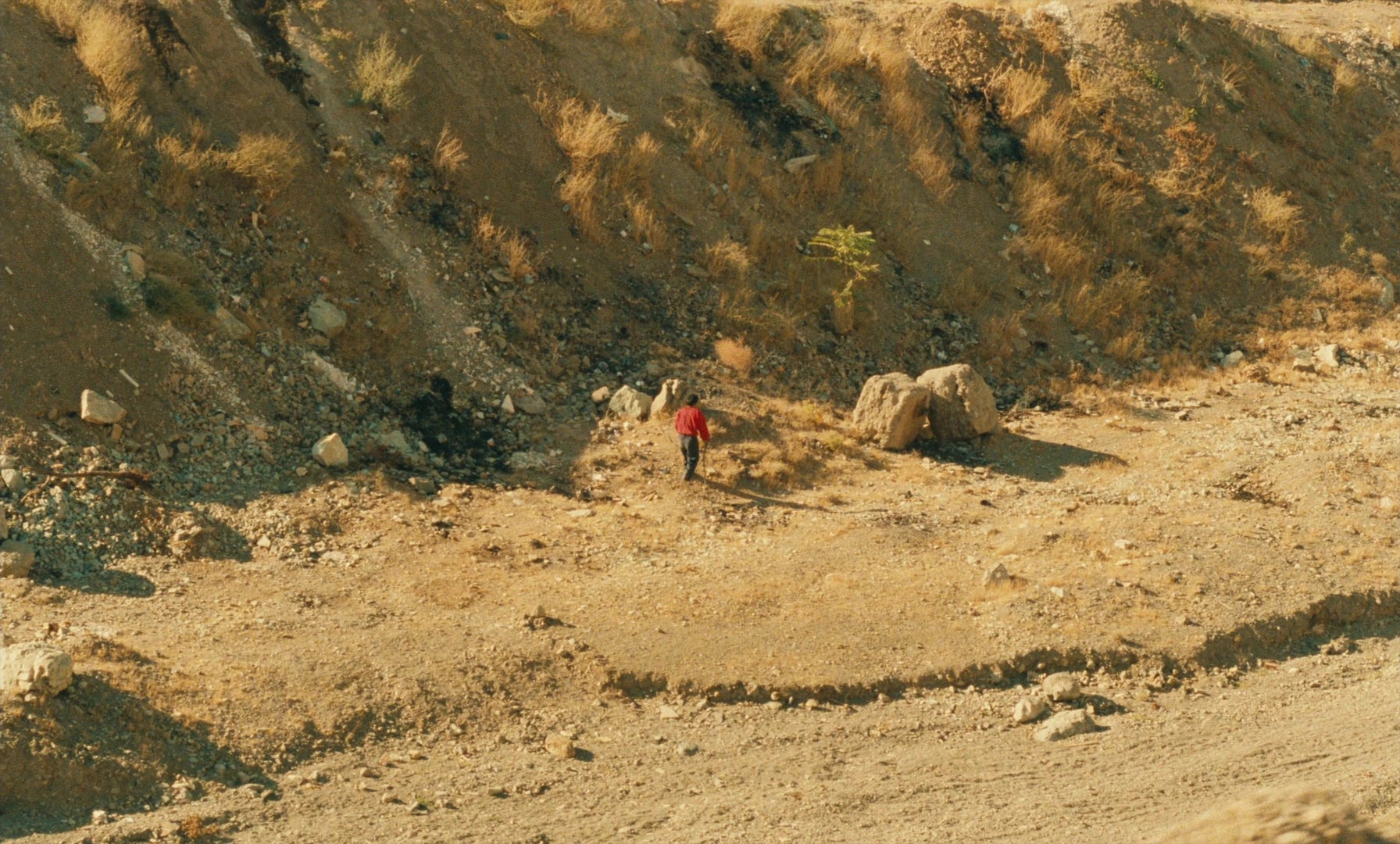 Ta'm e guilass (1997), wide, 1.66:1 — film still