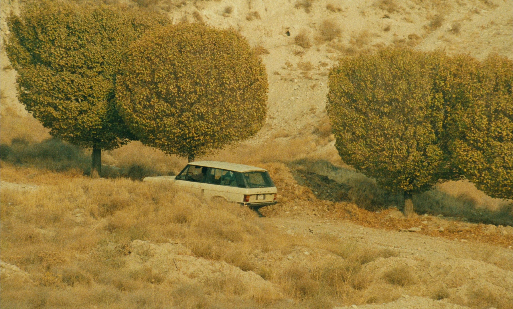 Ta'm e guilass (1997), unknown, 1.66:1 — film still
