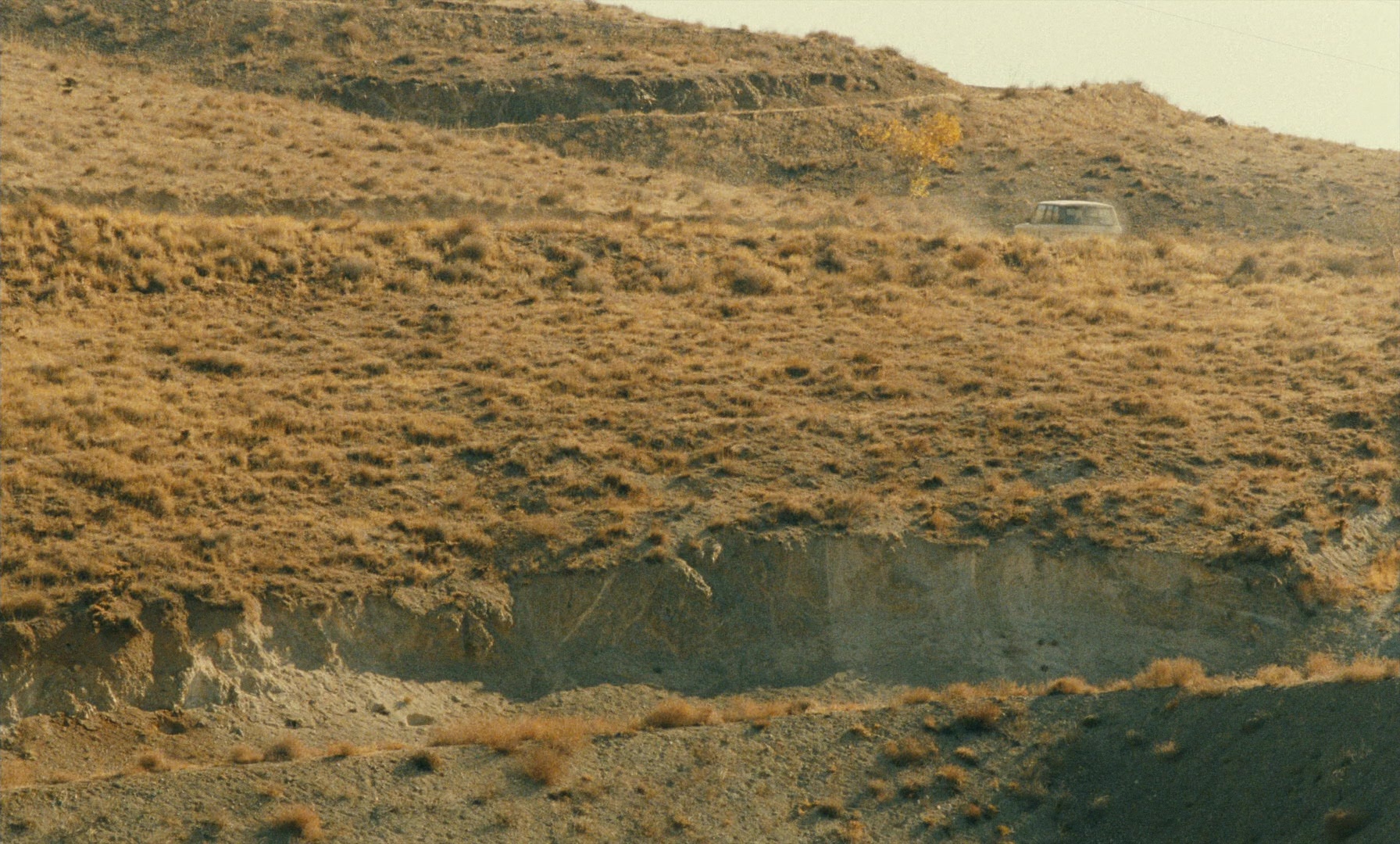 Ta'm e guilass (1997), unknown, 1.66:1 — film still