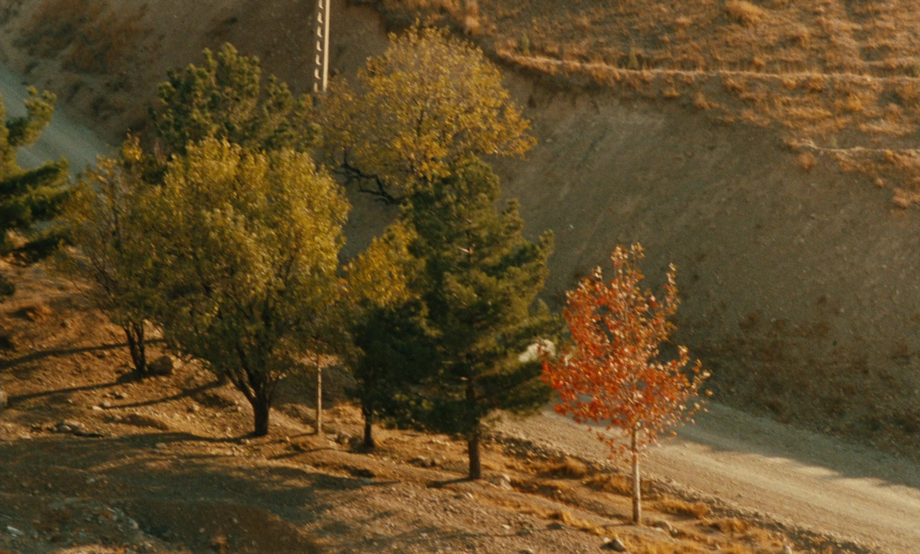 Ta'm e guilass (1997), wide, 1.66:1 — film still