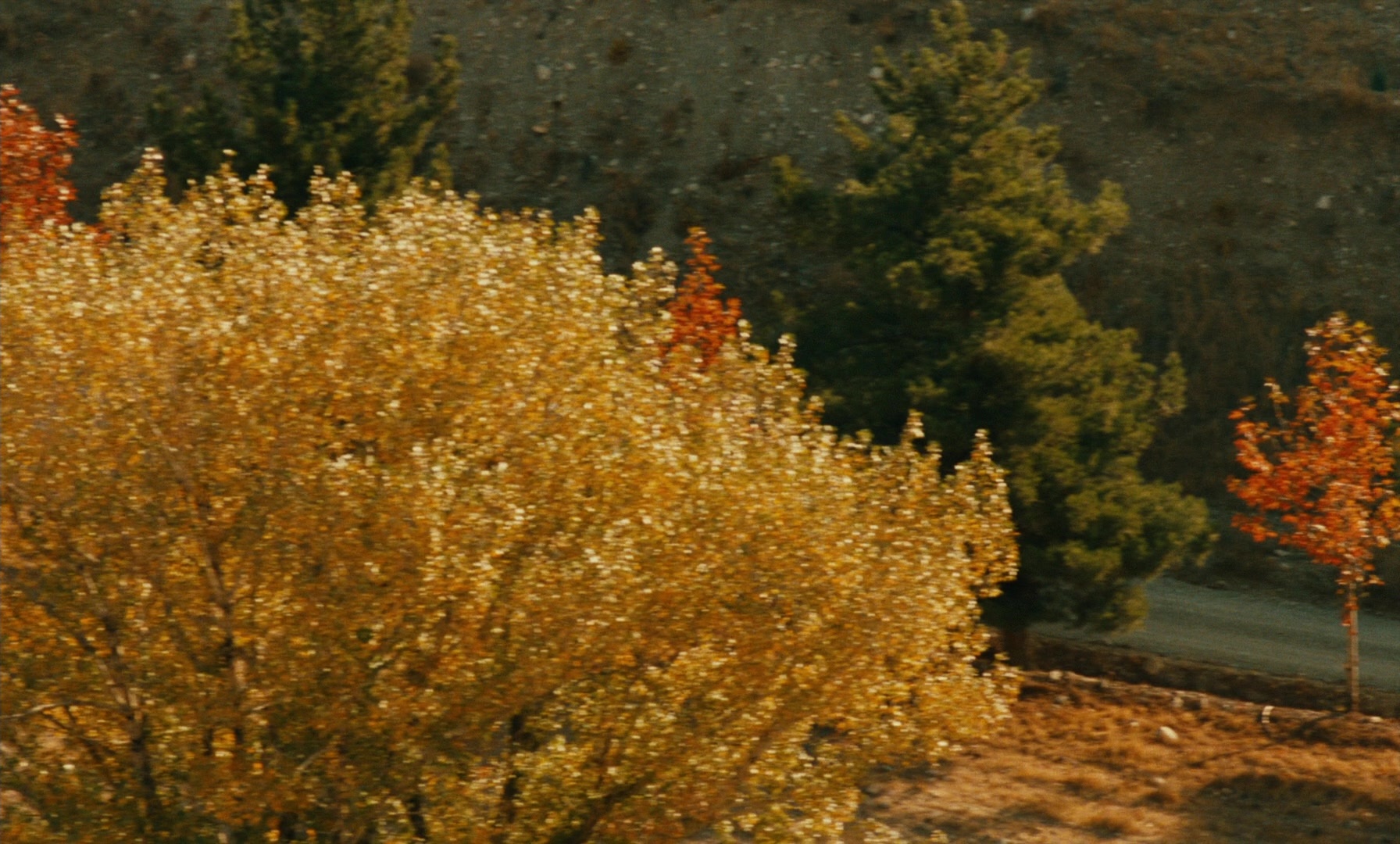 Ta'm e guilass (1997), wide, 1.66:1 — film still