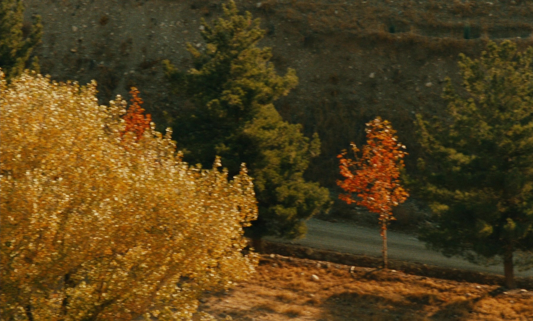 Ta'm e guilass (1997), unknown, 1.66:1 — film still