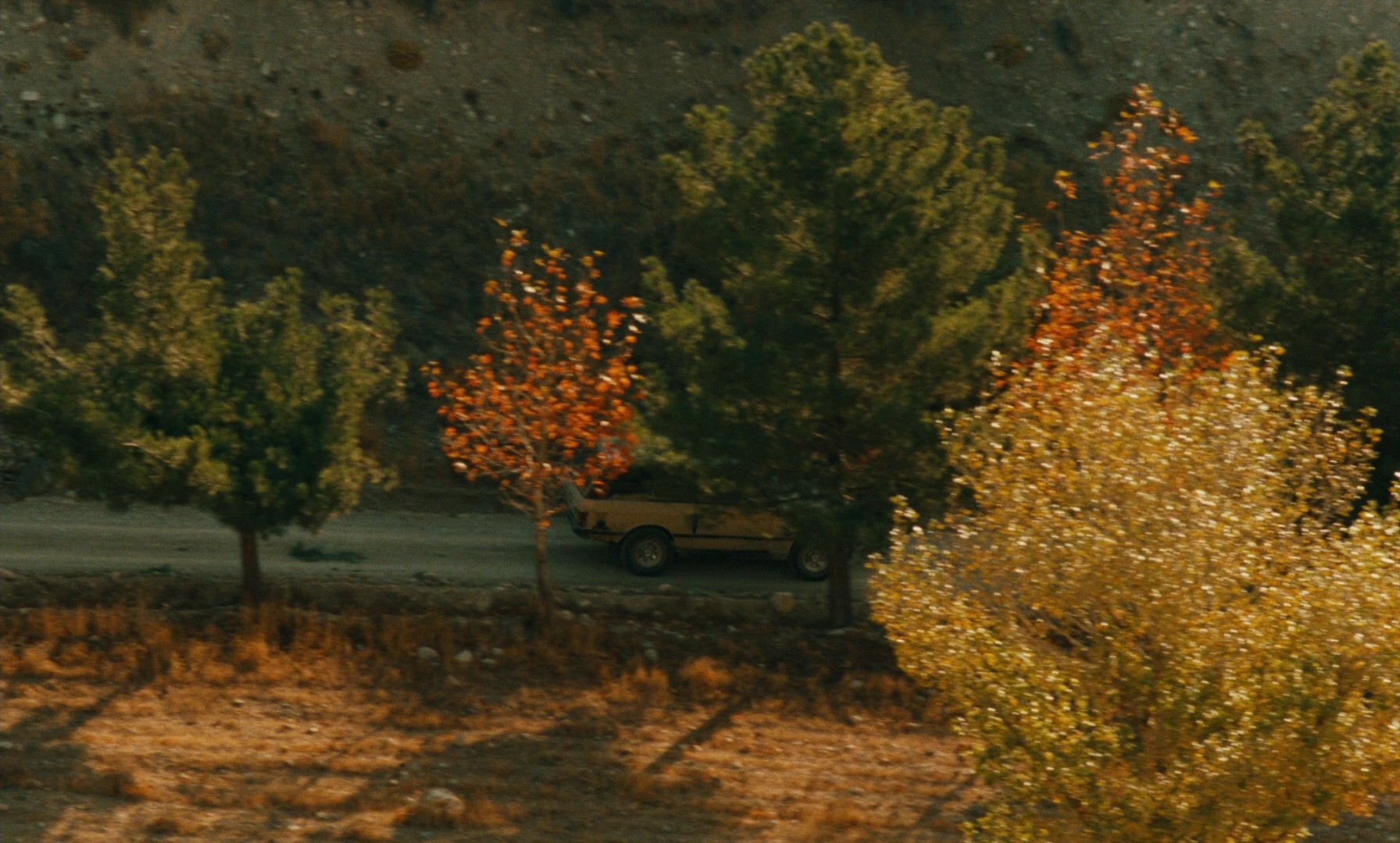 Ta'm e guilass (1997), wide, 1.66:1 — film still