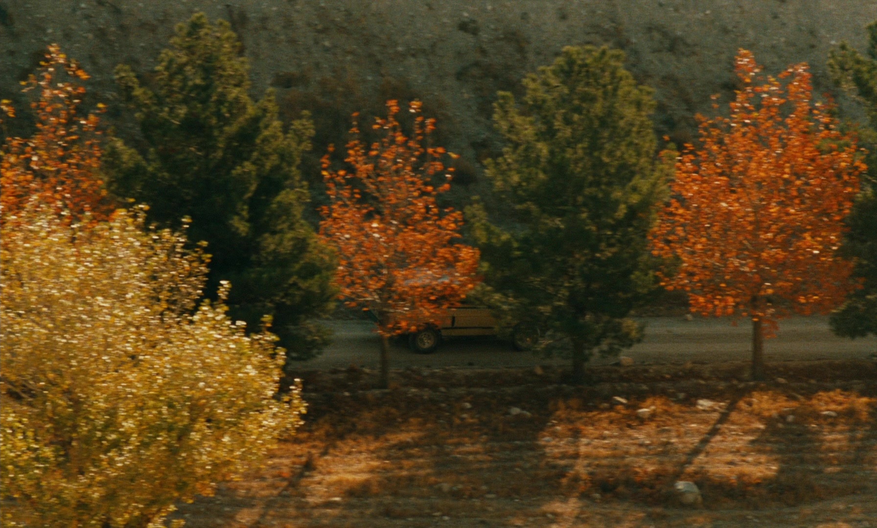 Ta'm e guilass (1997), wide, 1.66:1 — film still