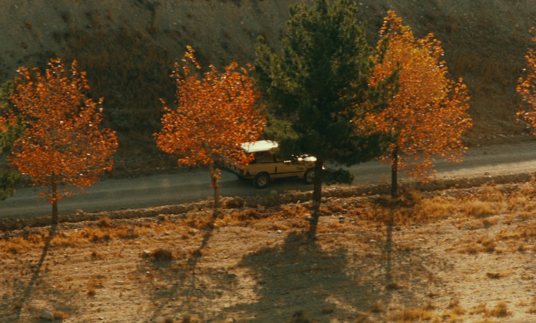 Ta'm e guilass (1997), wide, 1.66:1 — film still