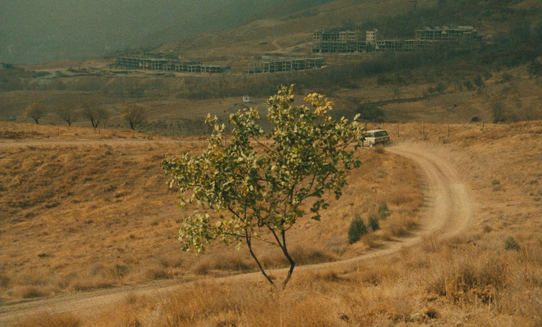 Ta'm e guilass (1997), wide, 1.66:1 — film still