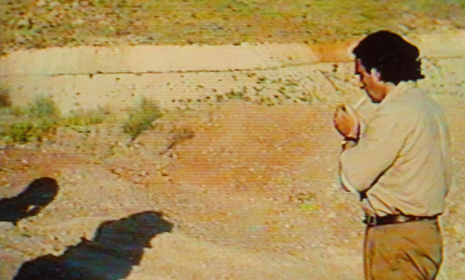 Ta'm e guilass (1997), wide, 1.66:1 — film still